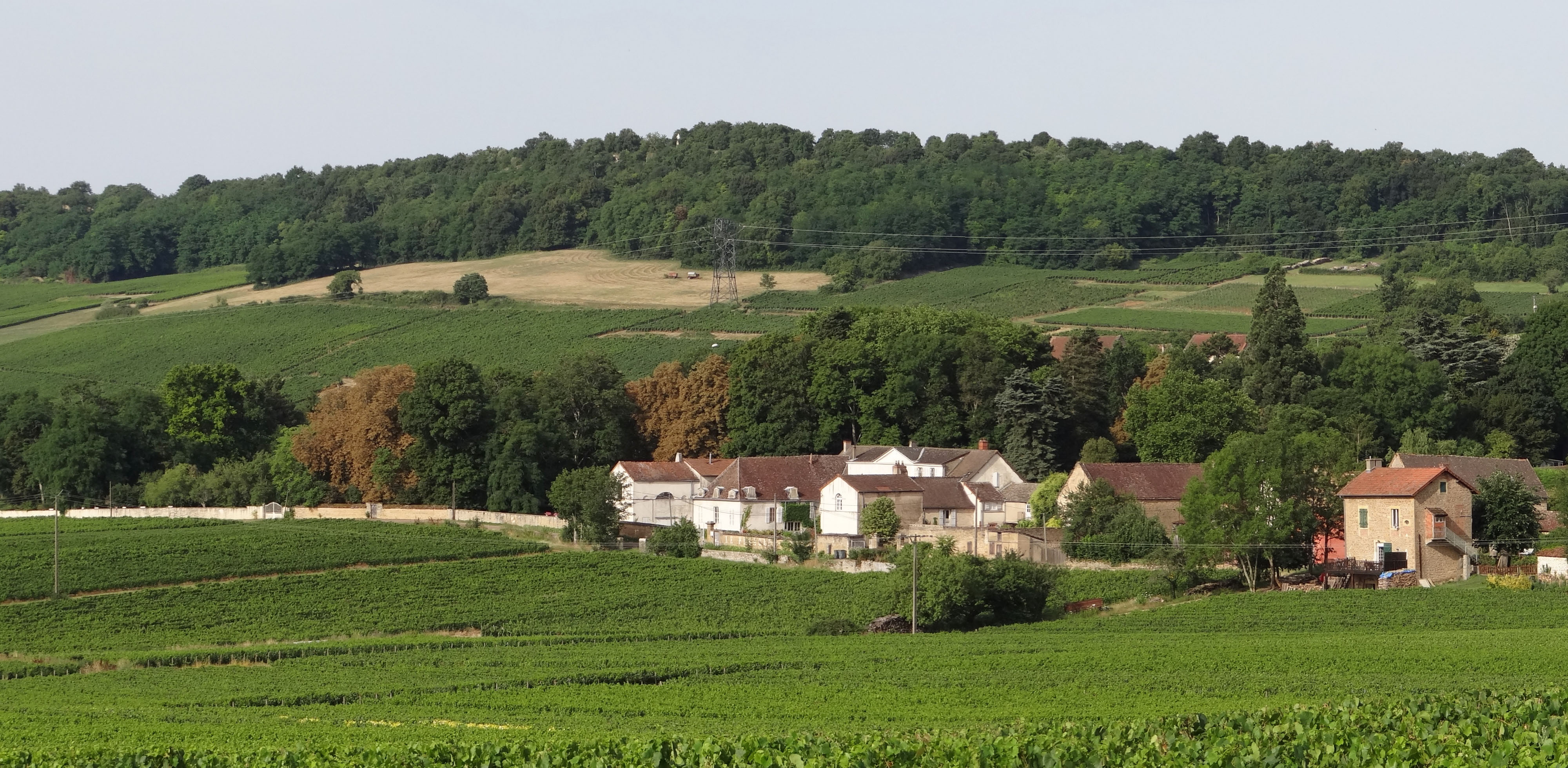 Le boisement