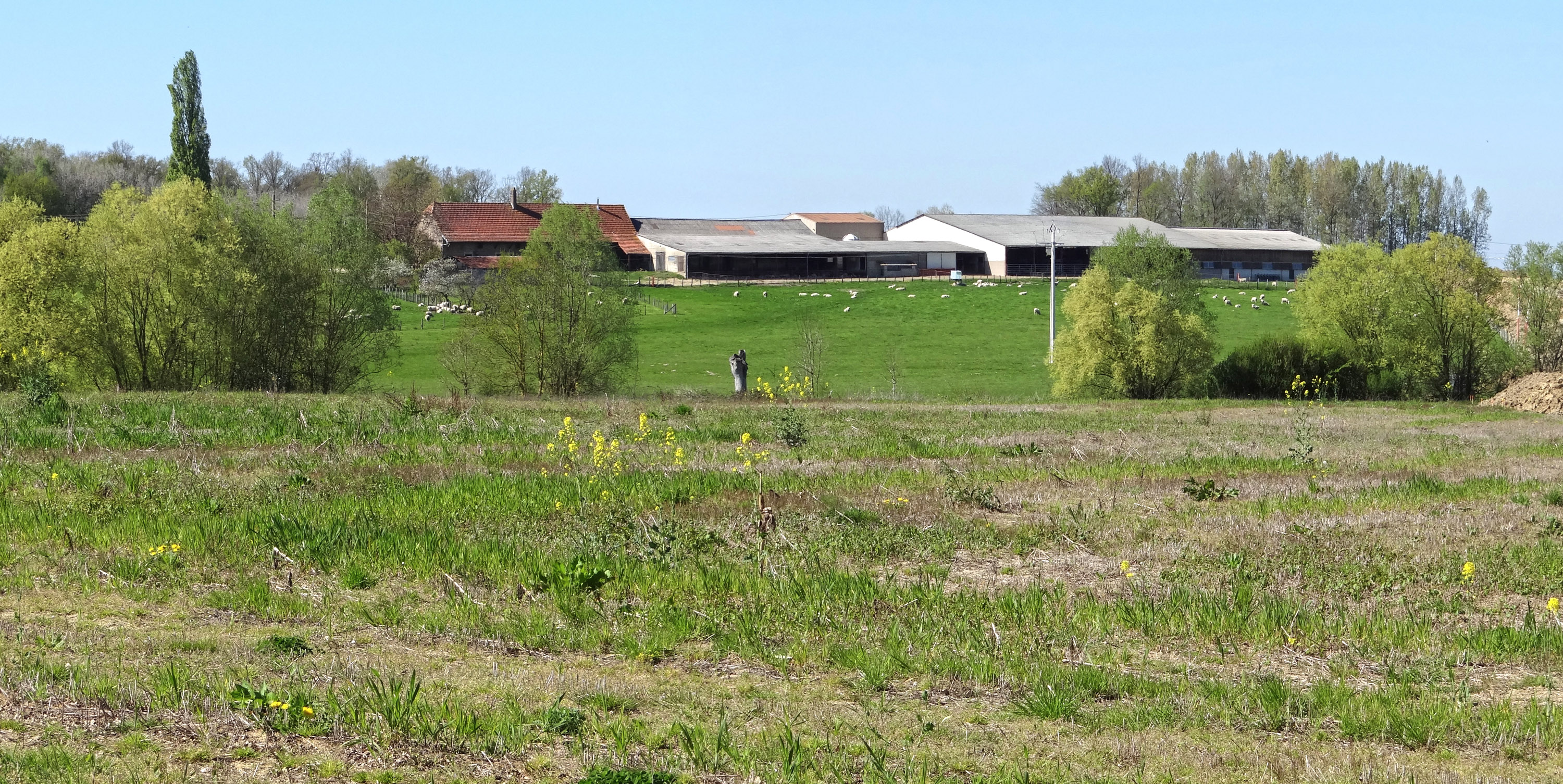 Le bâtiment agricole Le bâtiment agricole