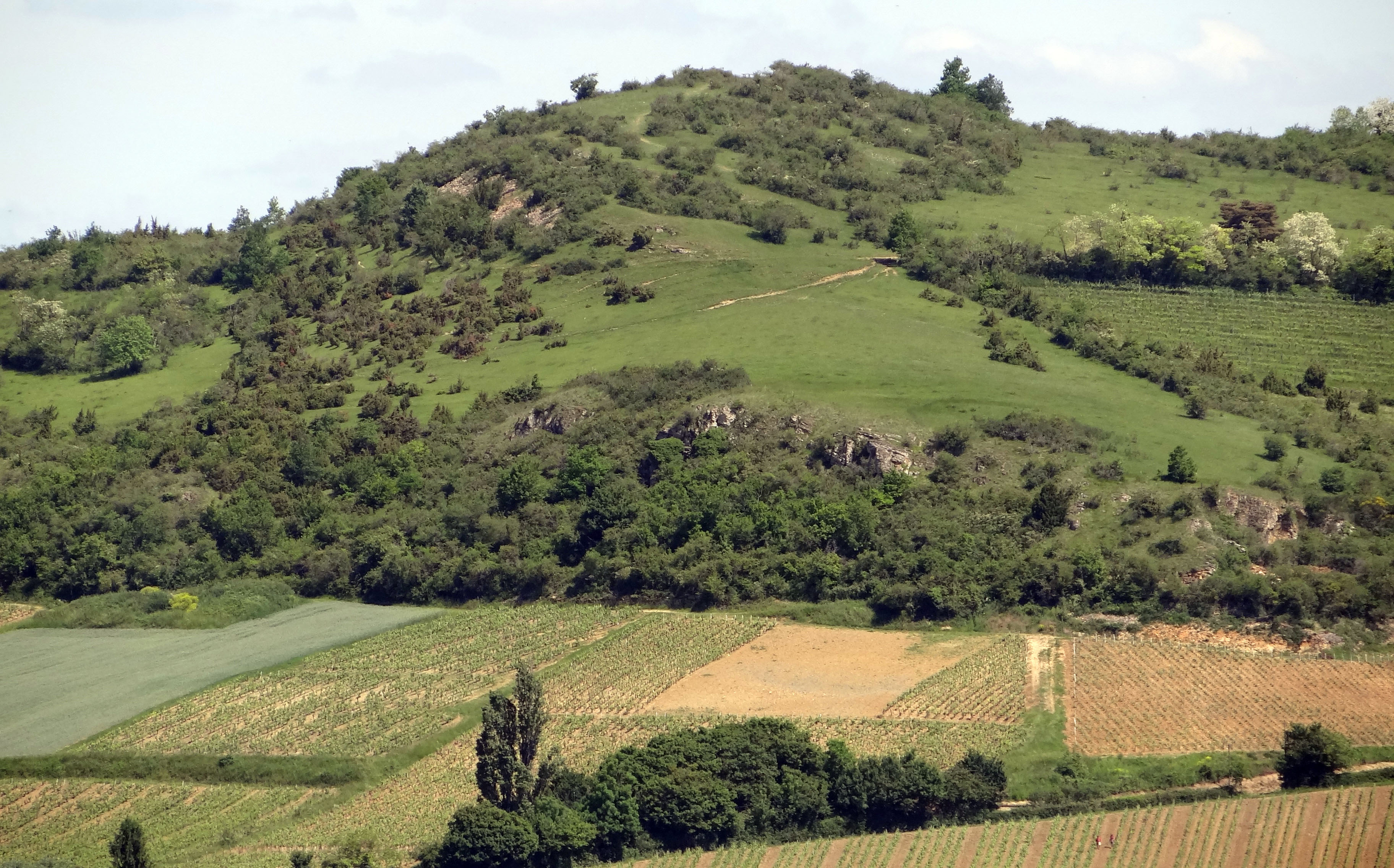 La friche