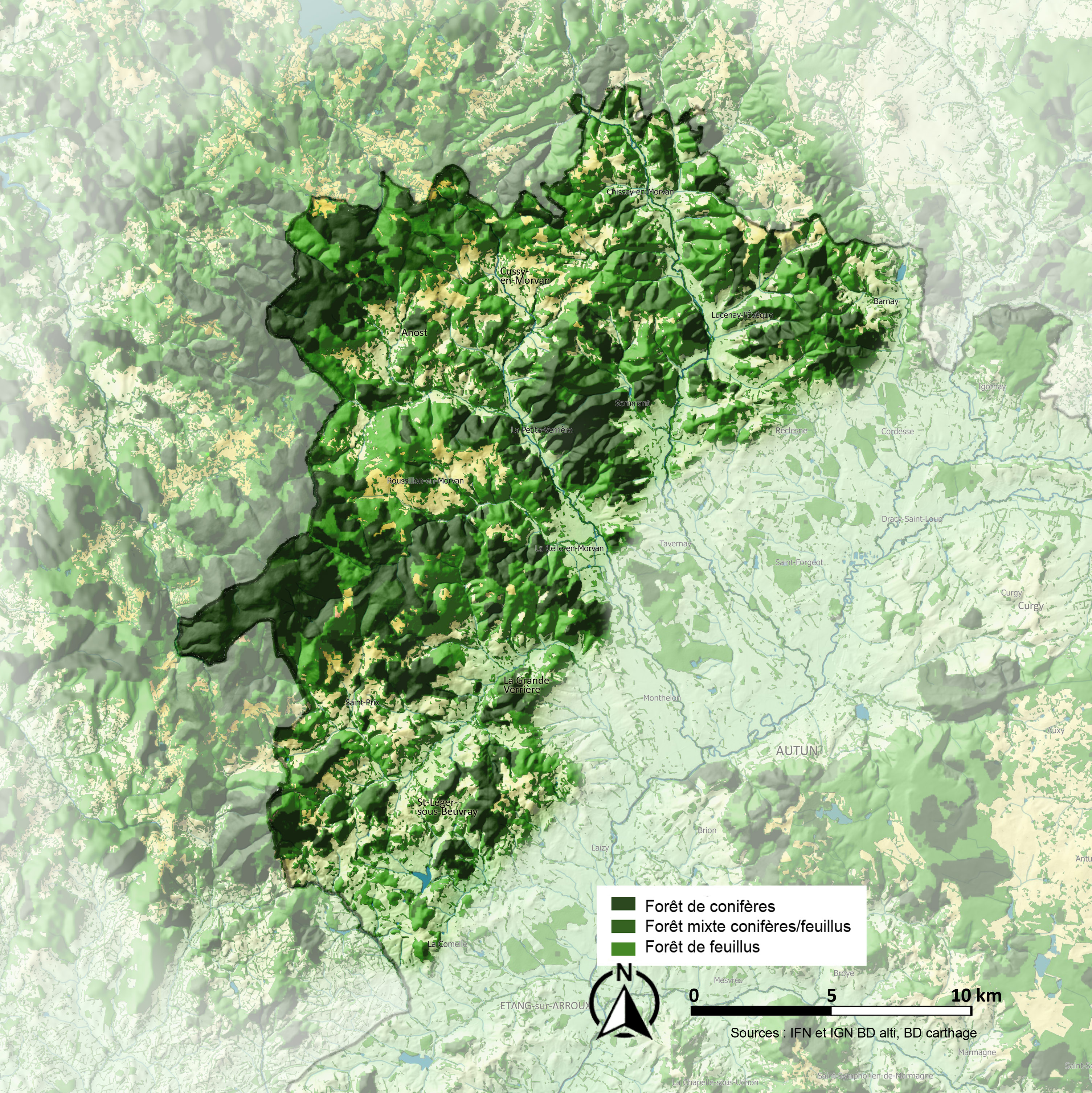 Morvan Oriental carte arbre et forêt