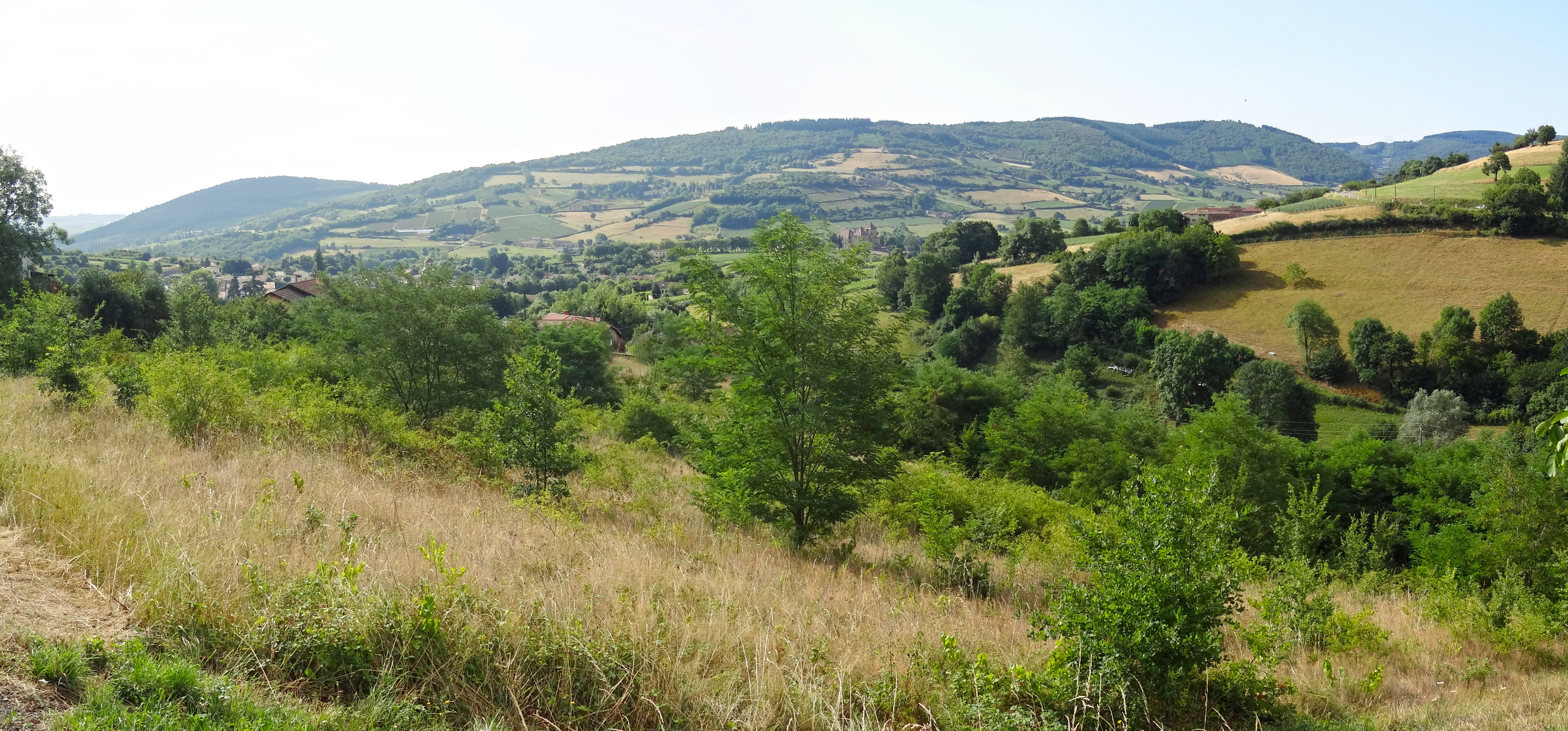 La friche