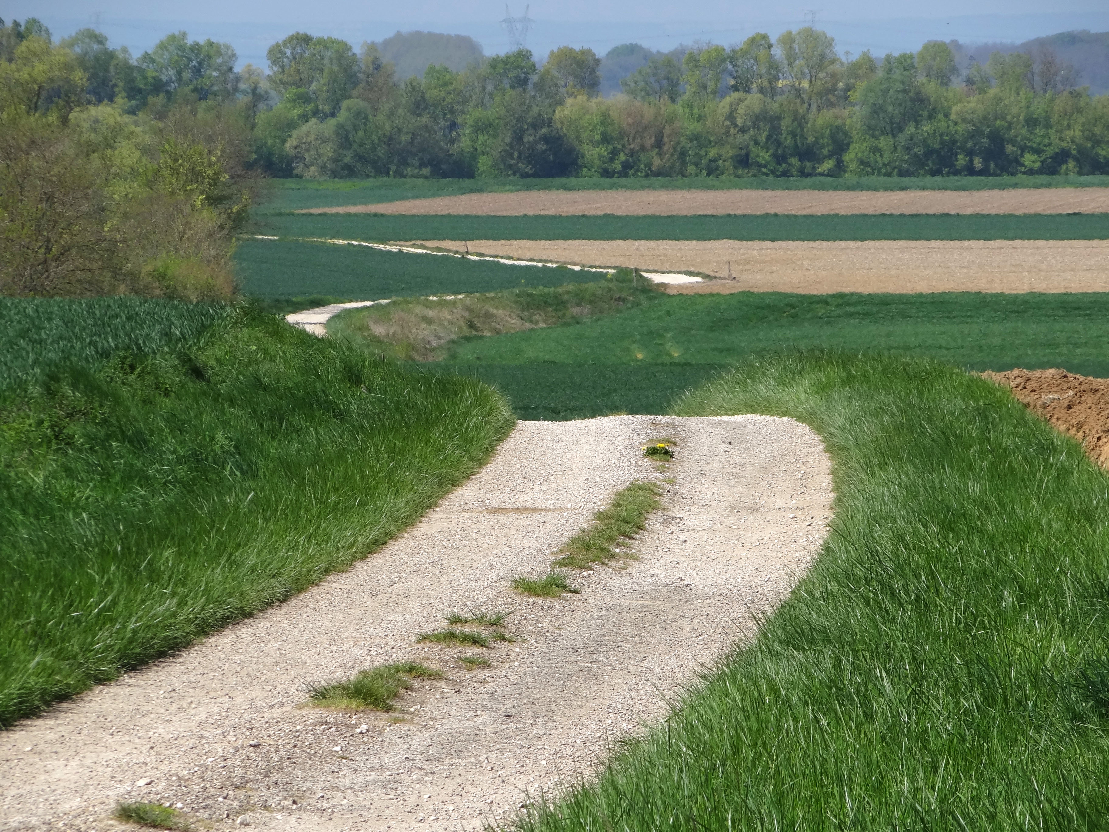Le chemin agricole