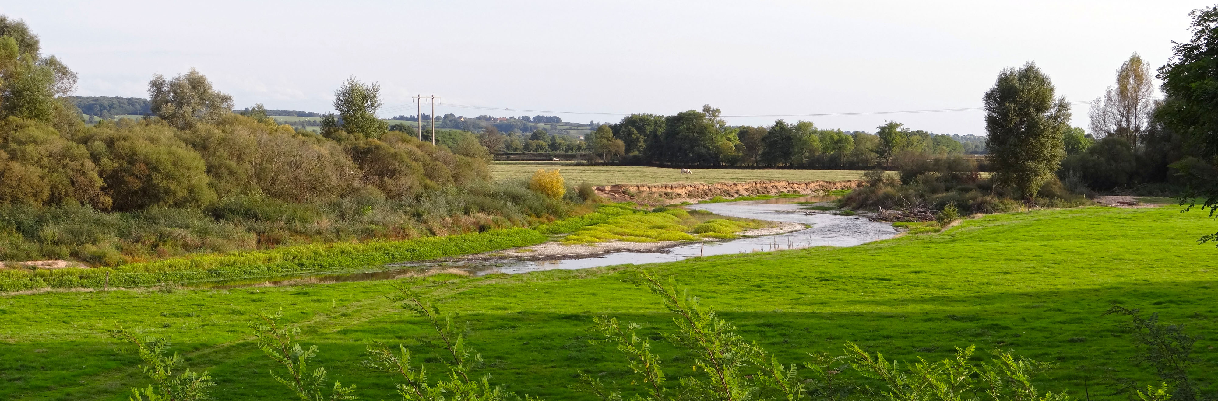 La rivière