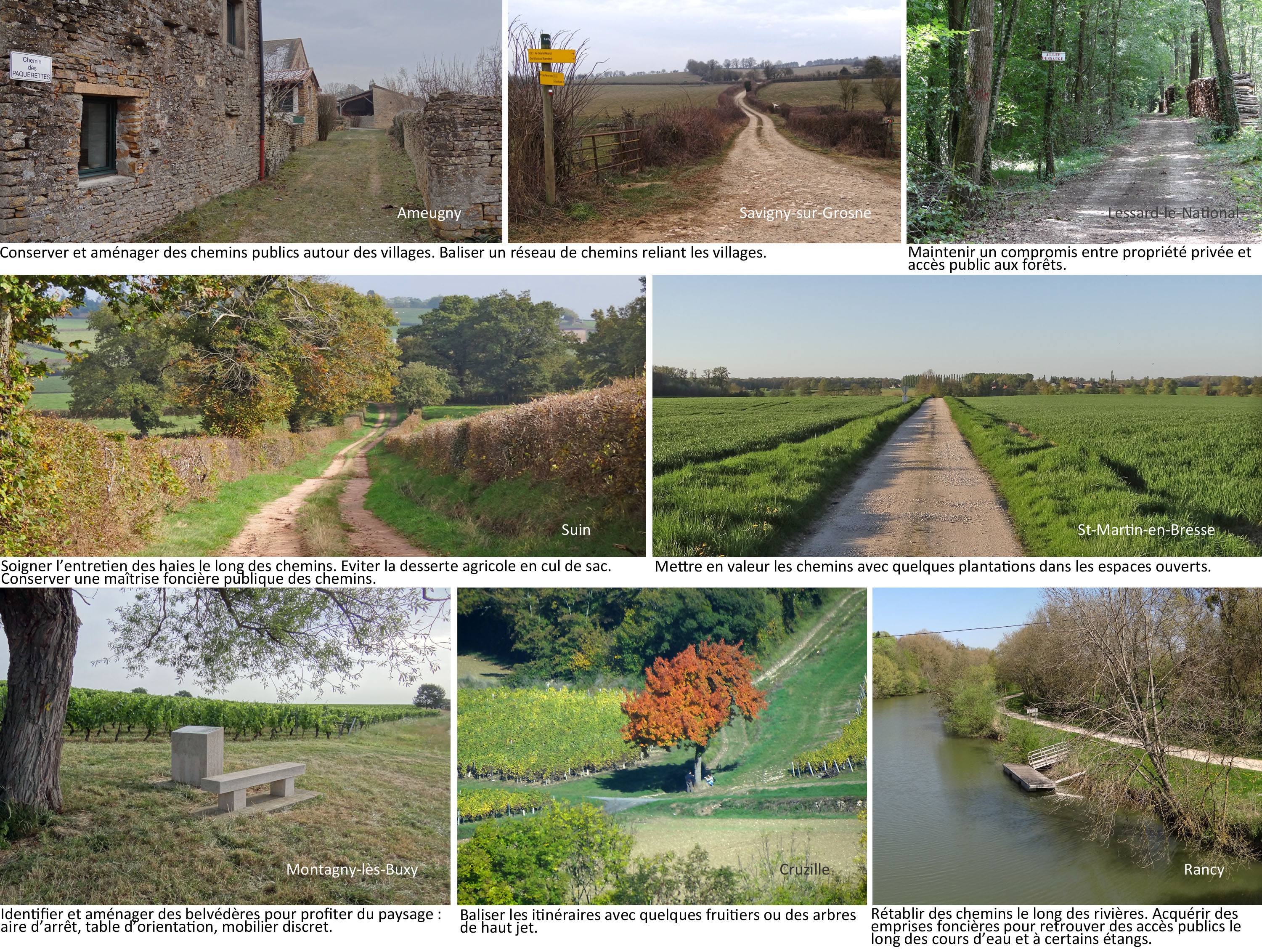 Préserver et gérer les chemins ruraux