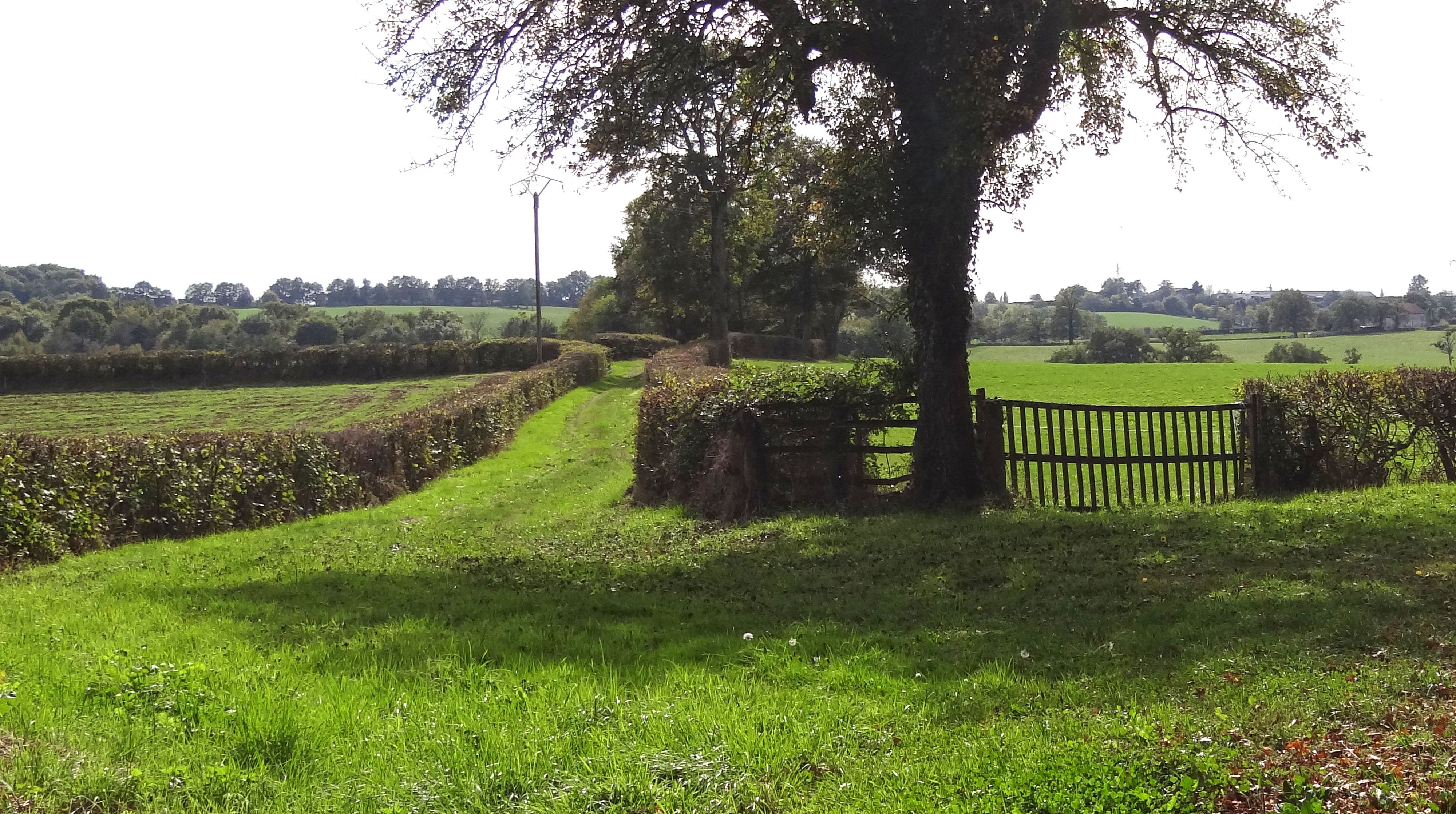 Le chemin bocager
