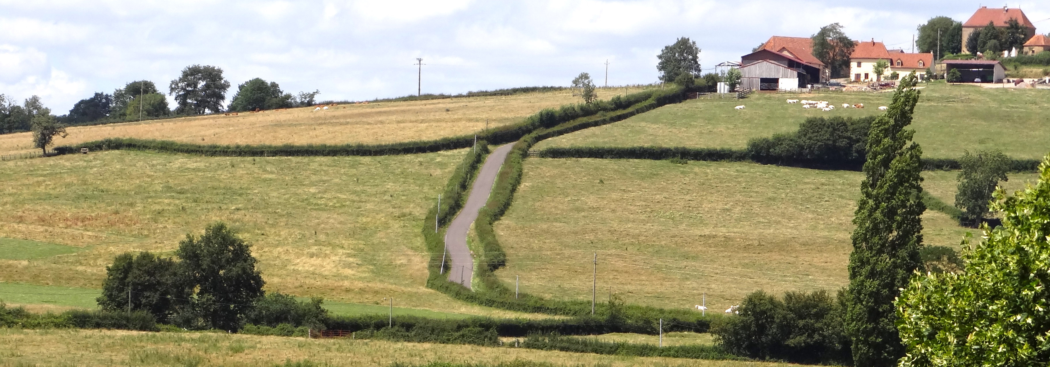 Soigner les bords des routes