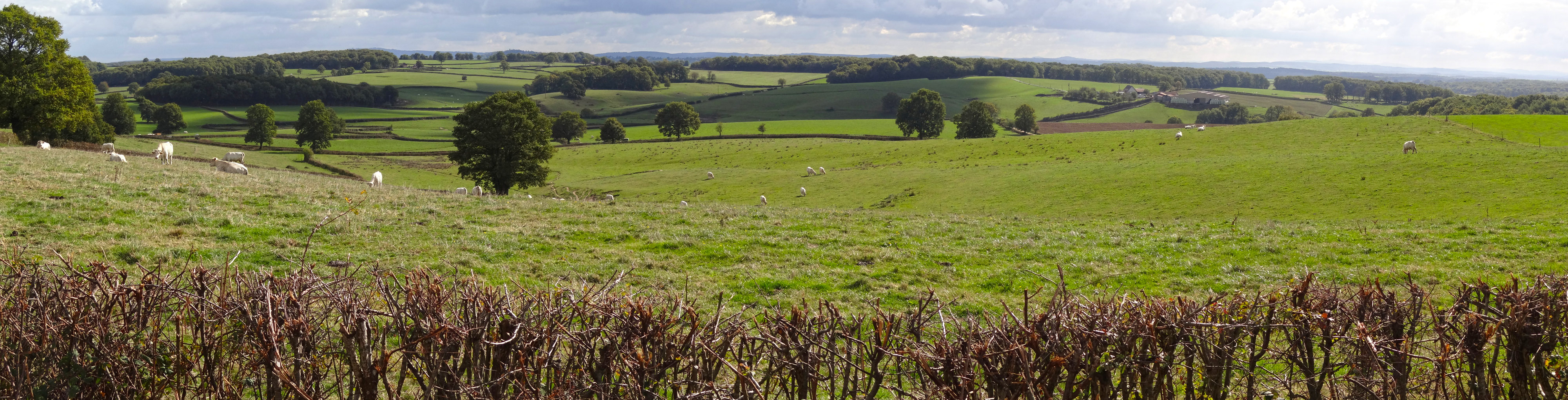 Le Charolais présente une succession de collines bocagères au relief doux. Saint-Eugène
