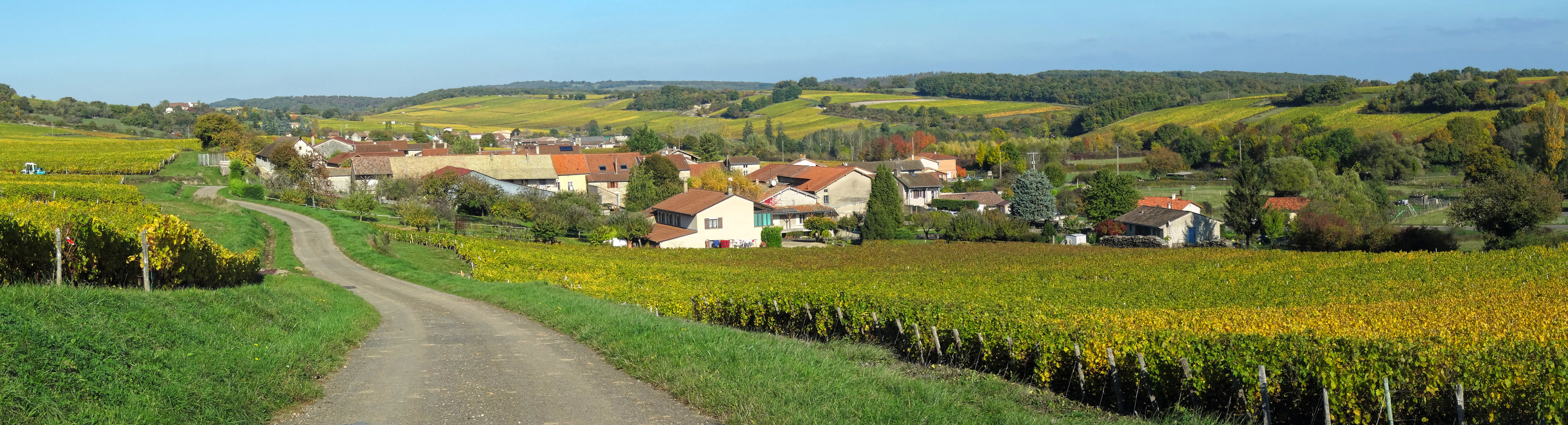 Dans le paysage ouvert des côtes, les villages se découvrent souvent d’en haut, leur silhouette se détachant dans un écrin de vigne. Saint-Gengoux-de-Scissé