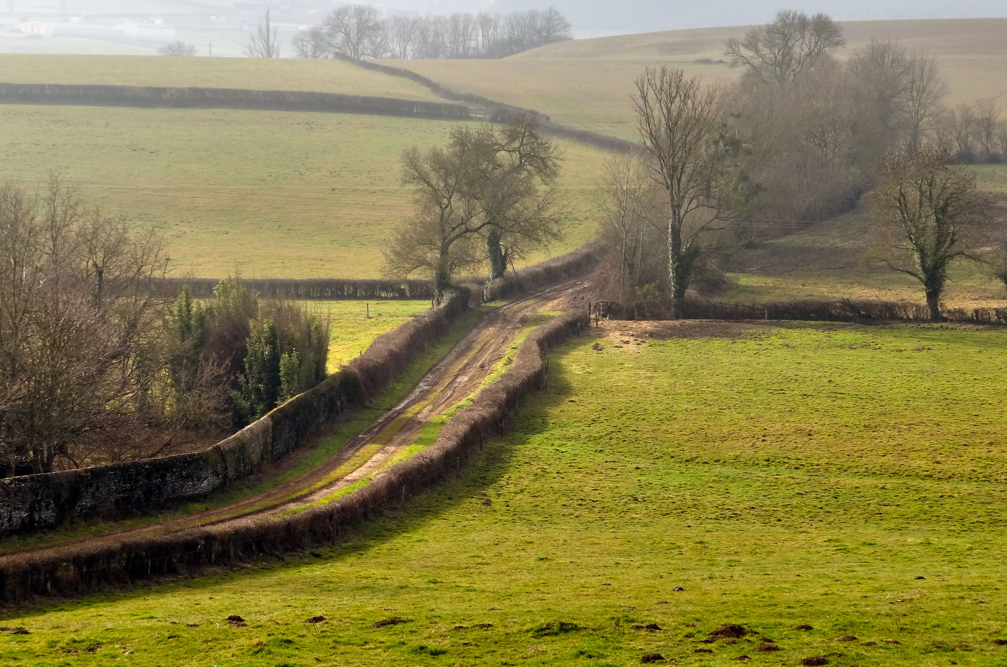 Le chemin agricole