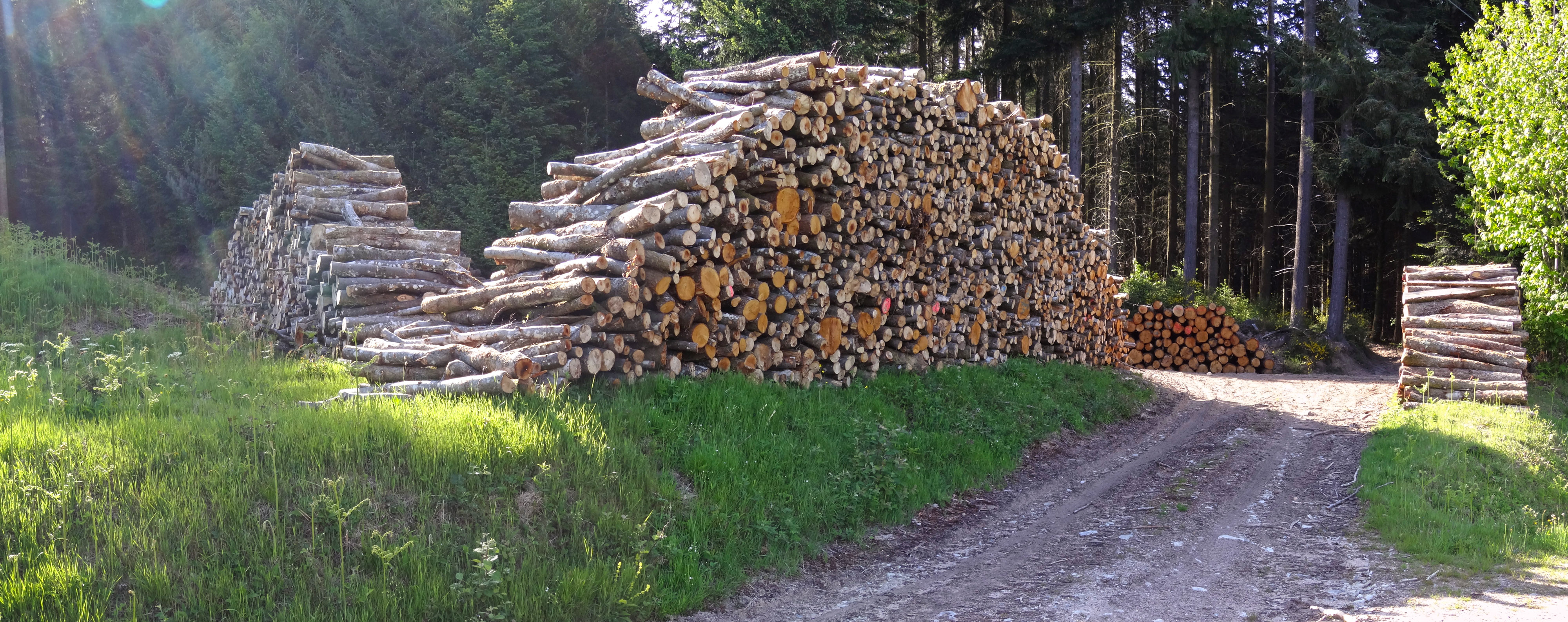 Le tas de bois