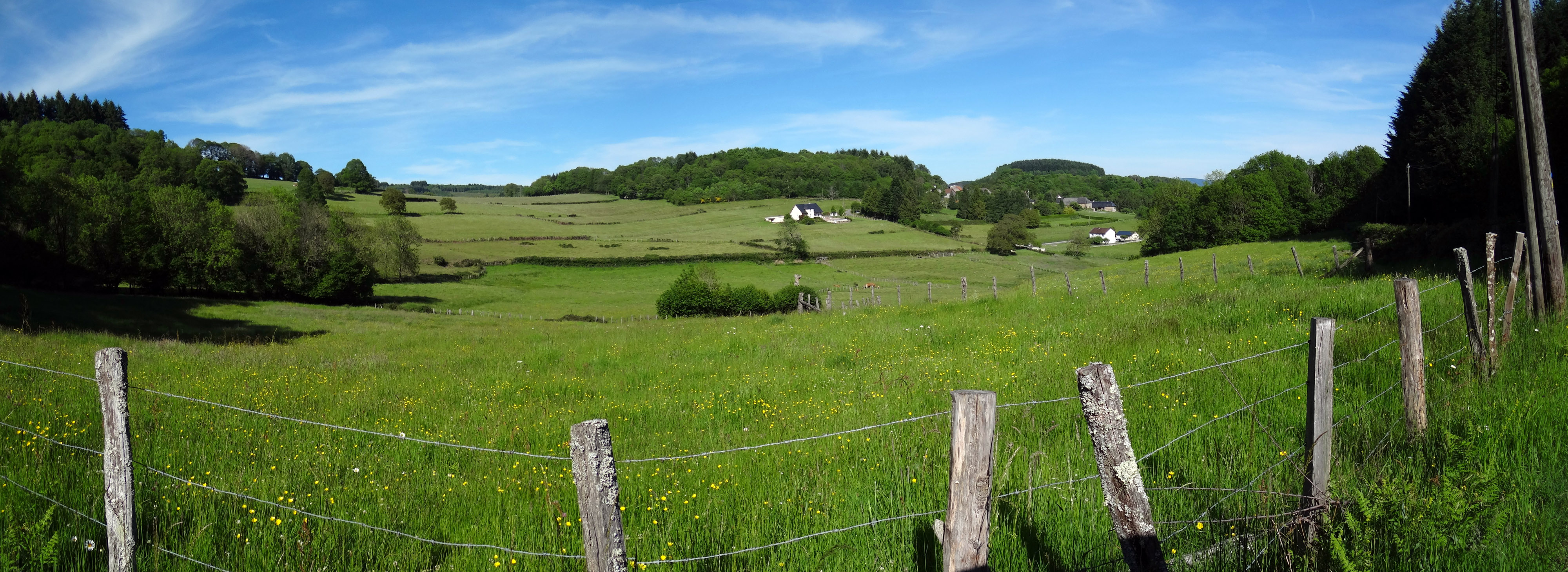 La clairière