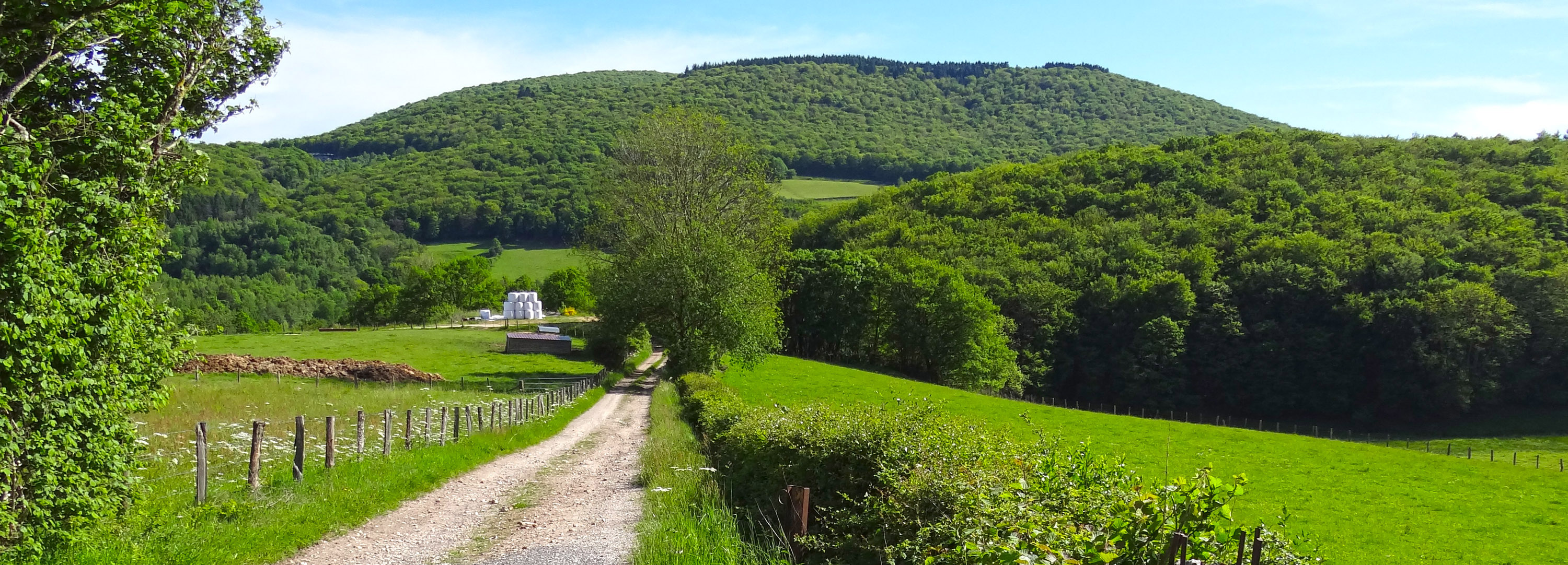 Le mont Beuvray, vu de puis St-Prix Le mont Beuvray, vu de puis St-Prix