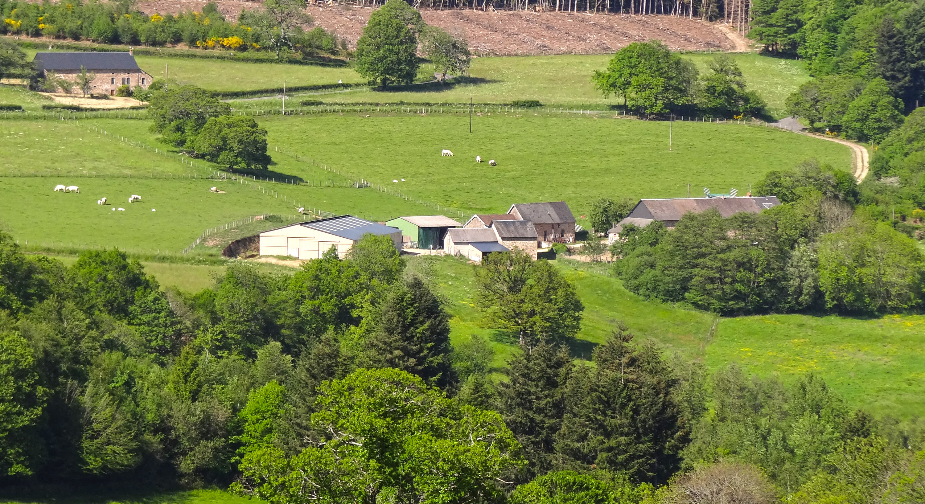 La ferme