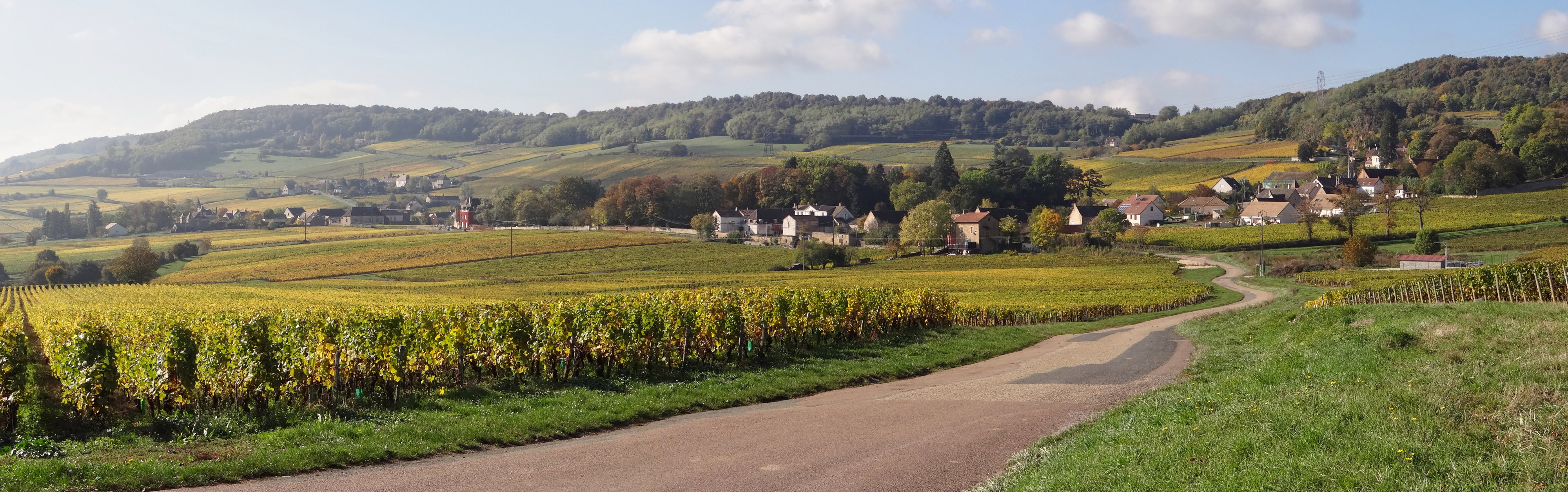 La Côte Chalonnaise, délimitée au nord par la vallée de la Dheune, et au sud par la vallée de la Grosne, forme un relief calcaire aux versants doux où les paysages viticoles s’ouvrent sur la vallée de la Saône. St-Vallerin 