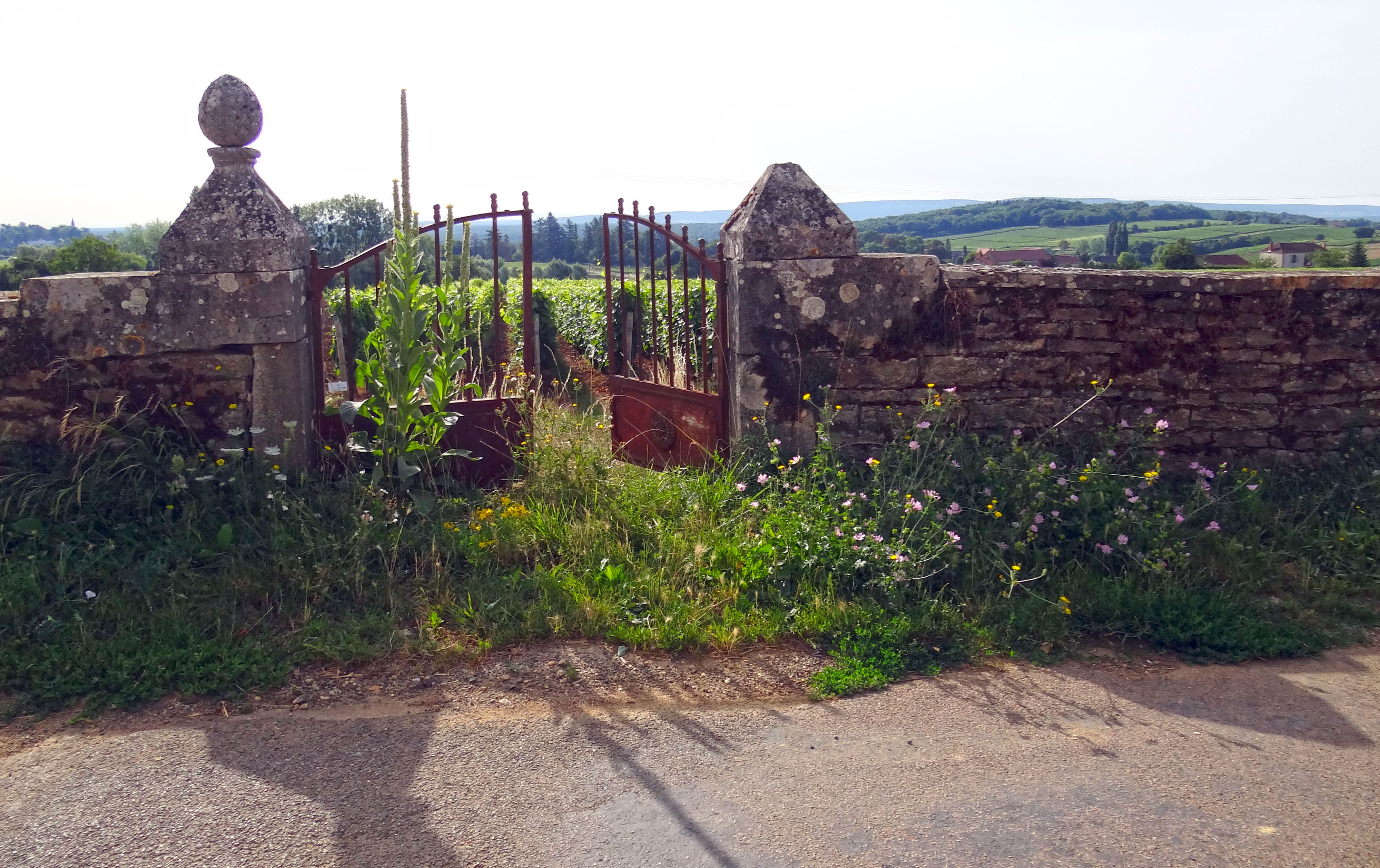 Le mur du clos