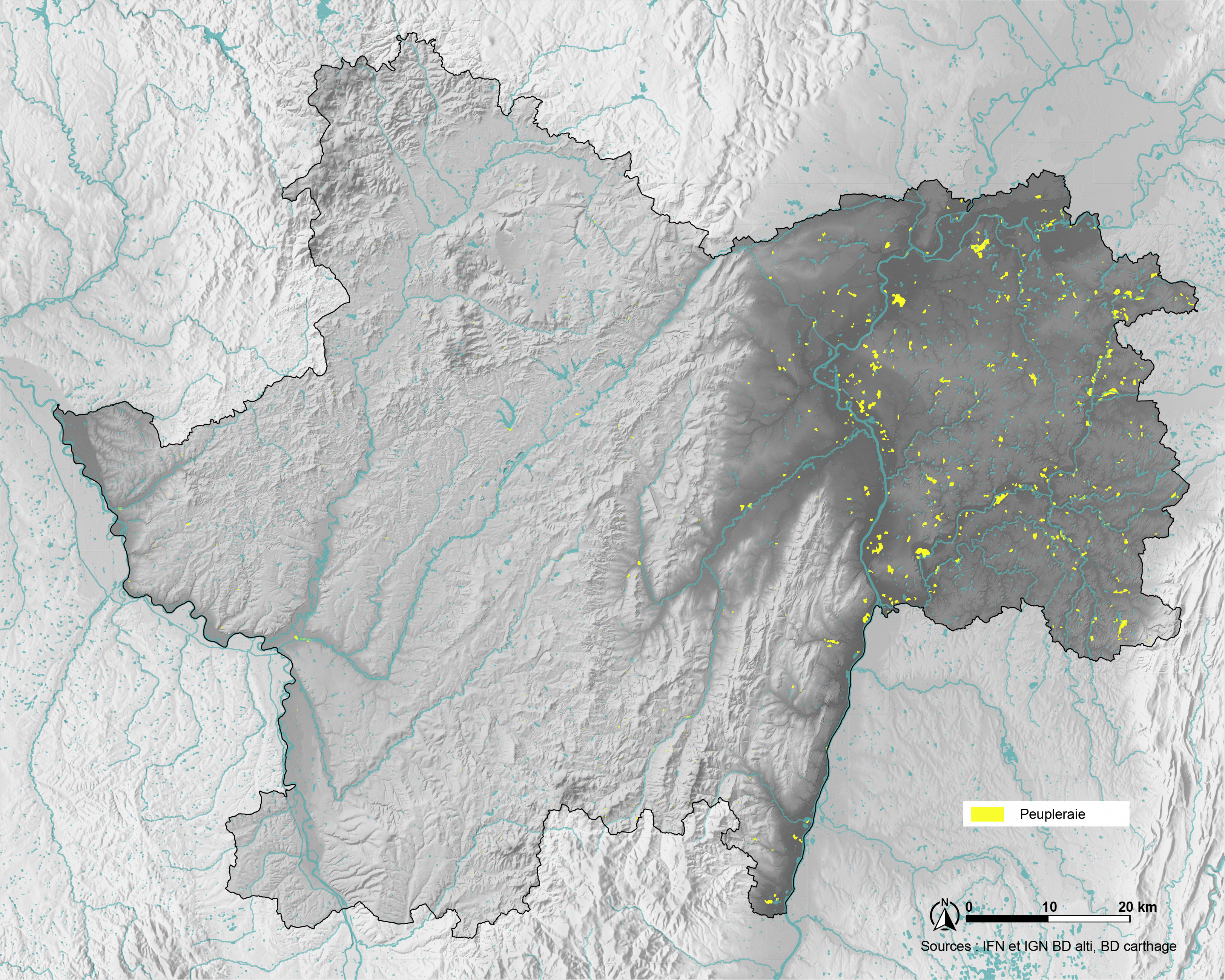 Carte des peupleraies. Source IFN