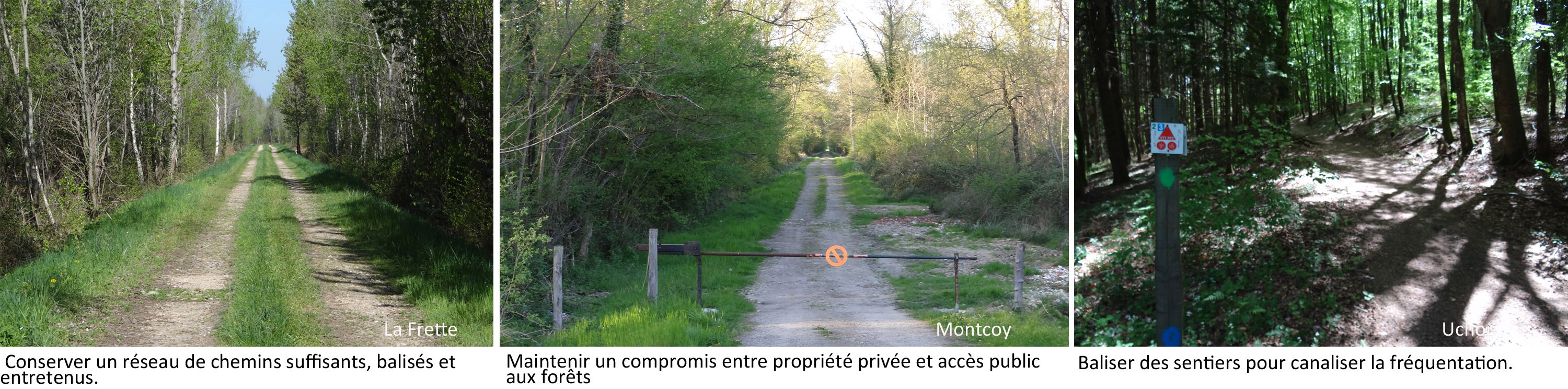 Valoriser les allées et chemins forestiers