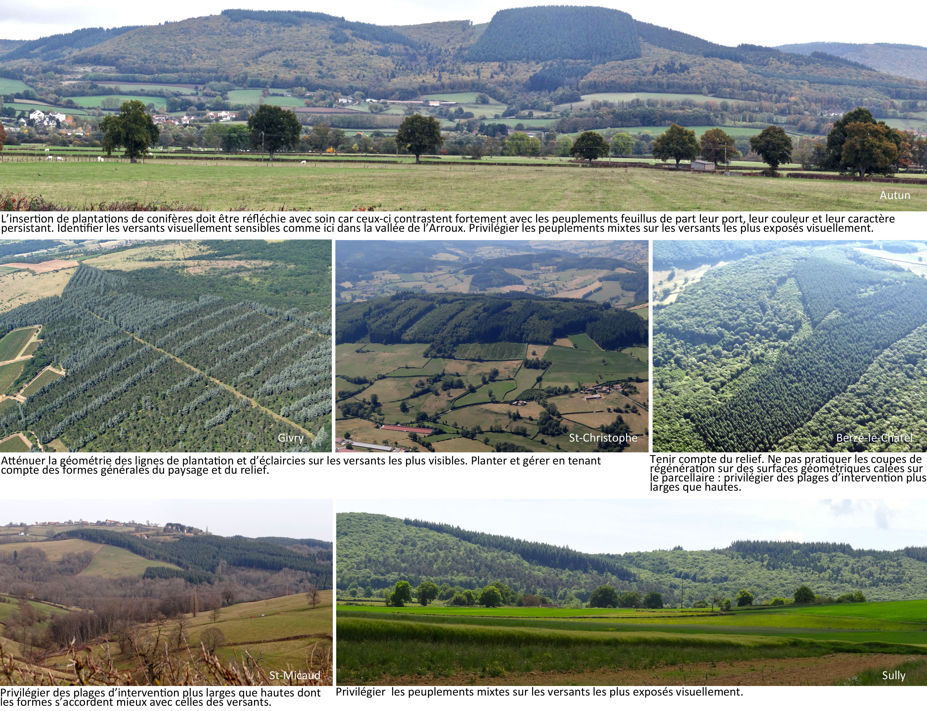 Maitriser les effets artificiels des plantations