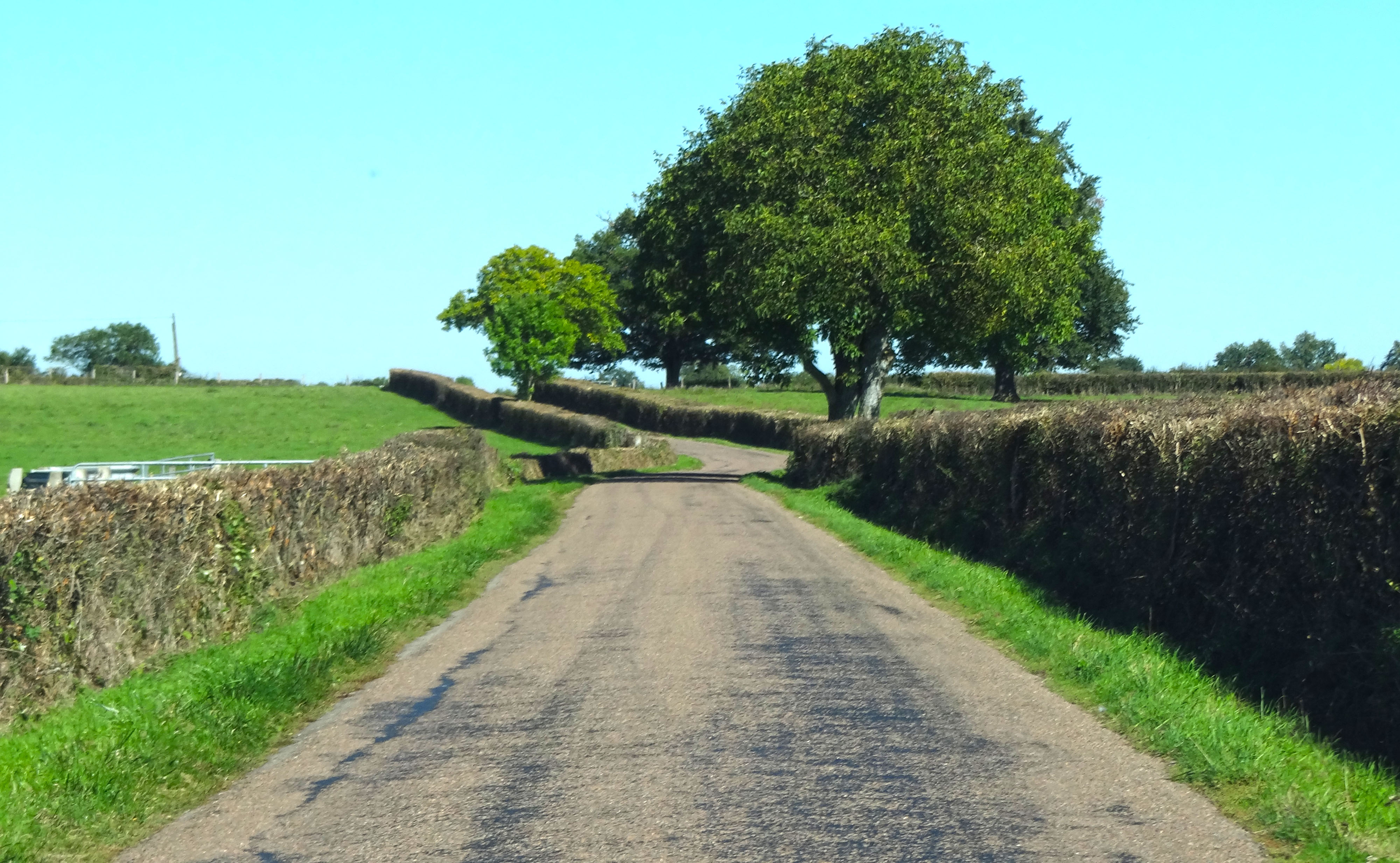 La route bocagère - Le chemin bocager