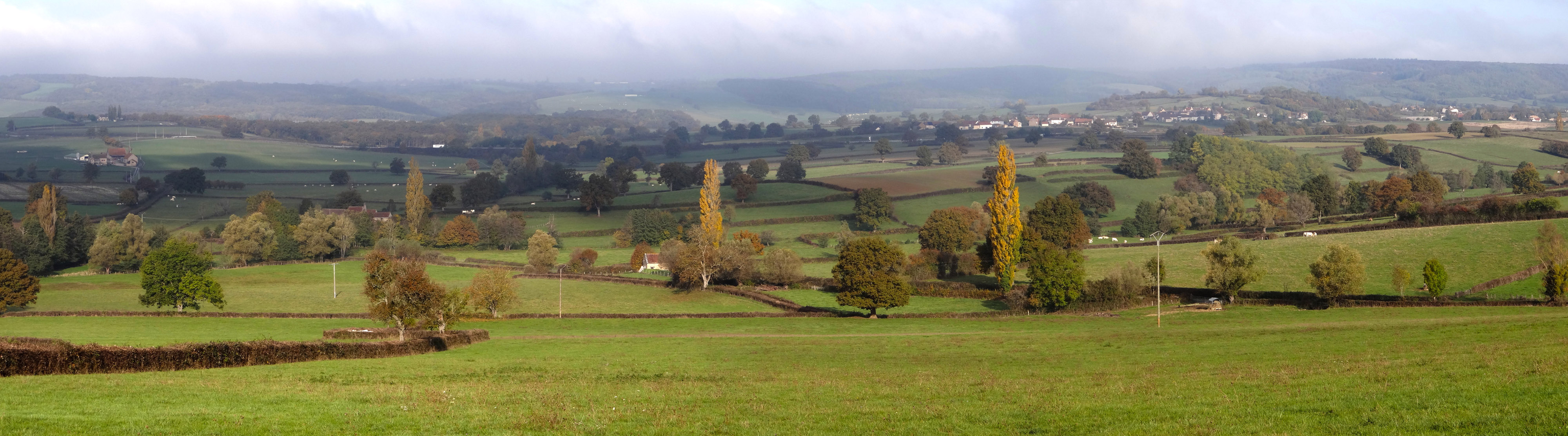 La vallée de la Guye présente des profils très variés, parfois trés évasés comme ici où la ripisylve se fond dans un fond de vallée semi bocager. Haute vallée de la Guye à Sassangy 