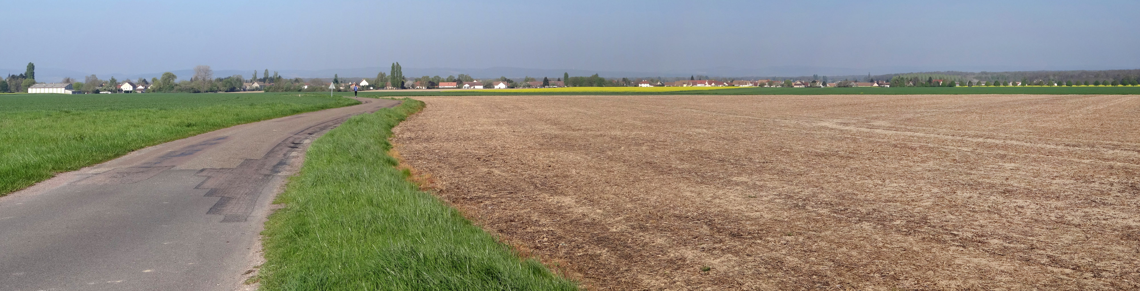 La vallée présente des paysages amples, parfois très largement ouverts, seulement limités par des lisières boisées. Sassenay