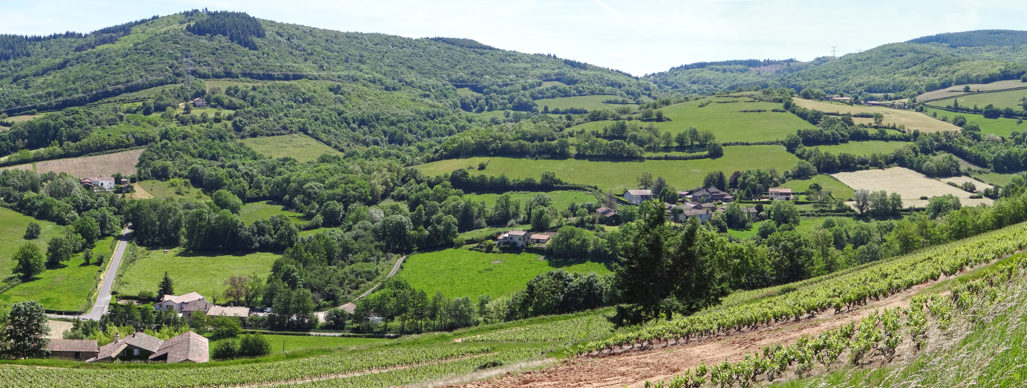 La prairie bocagère