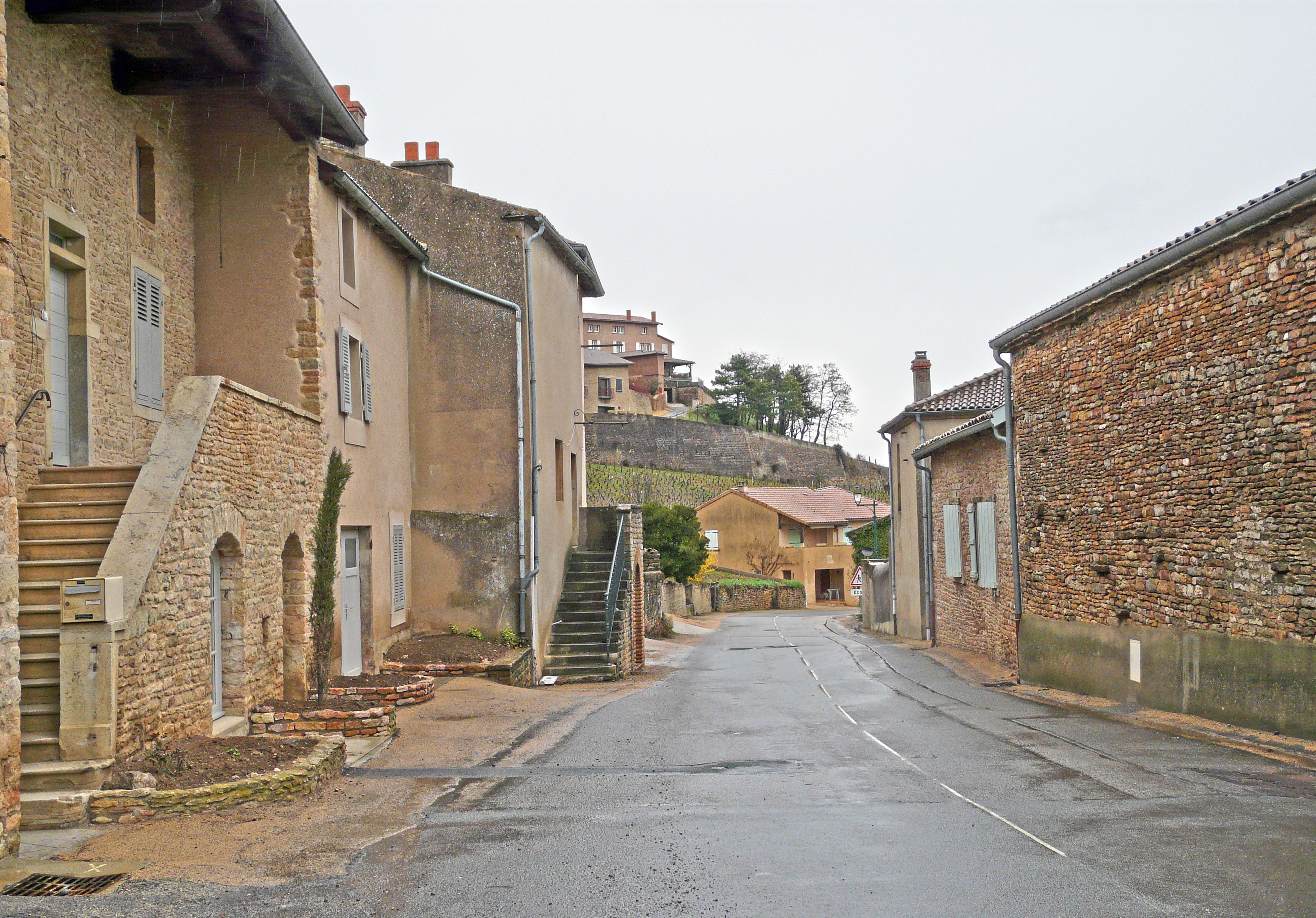 La maison vigneronne