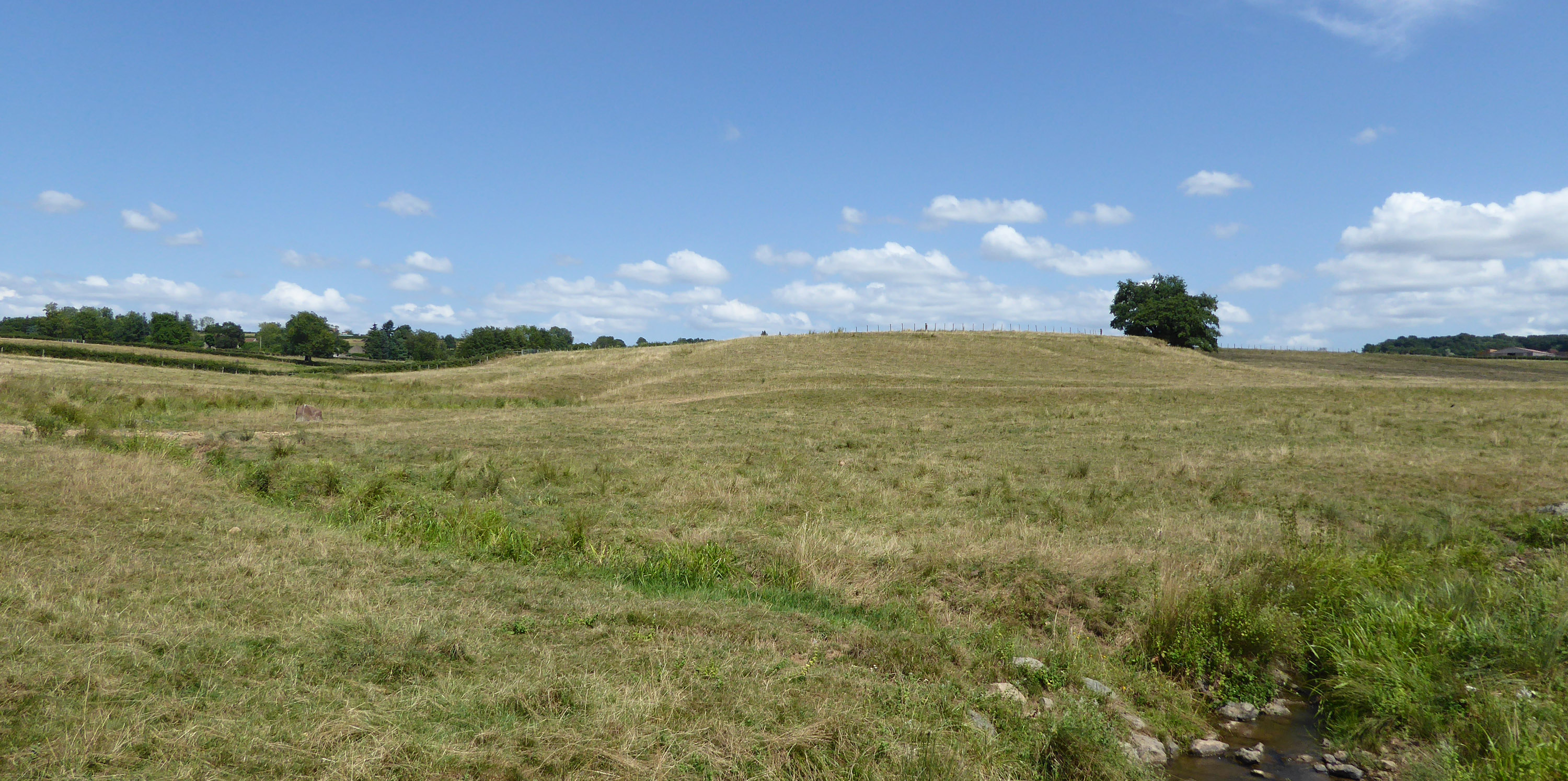 Conserver le bocage et une agriculture dynamique