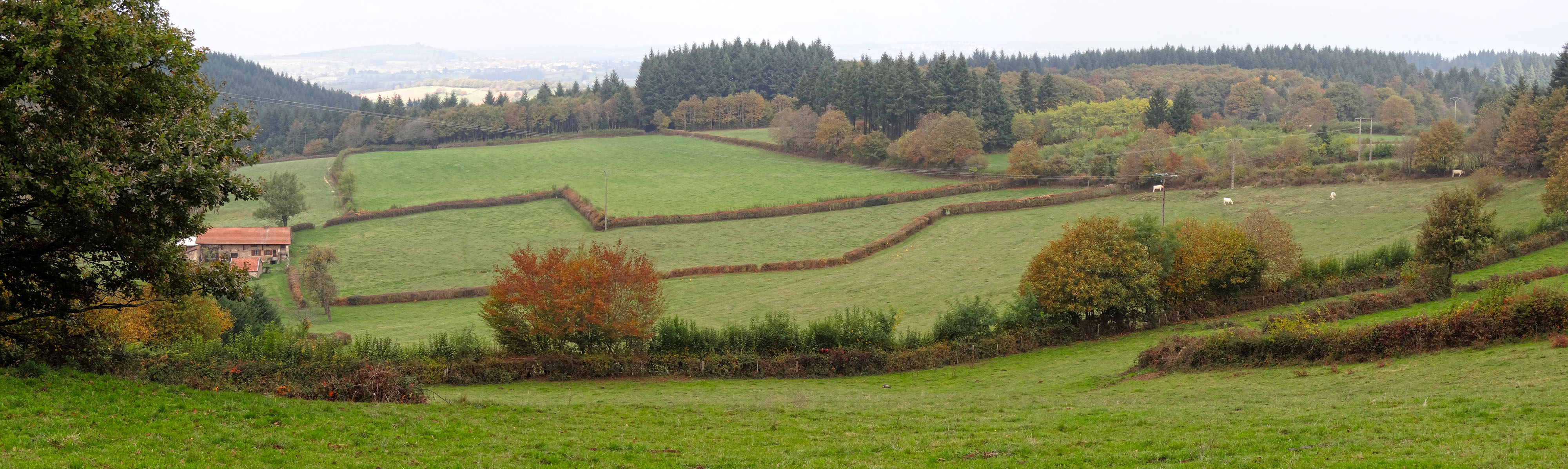 A l'est du Brionnais, le relief s'élève et se creuse. Un jeu de plein et de vide se crée entre les boisements qui prennent de l'importance, couvrent les versants et les sommets et les prairies qui apportent un ouverture. Suin