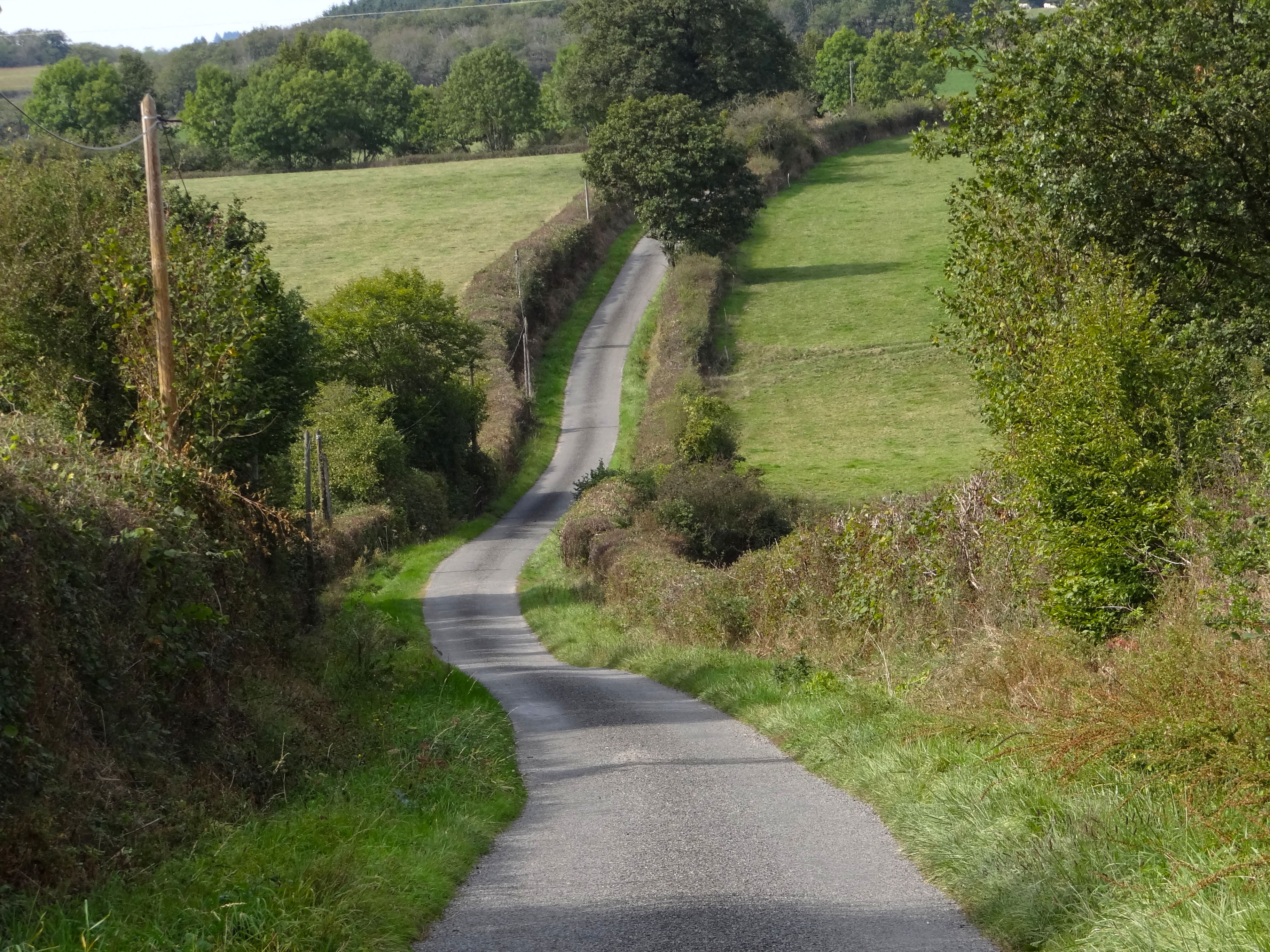 La route bocagère