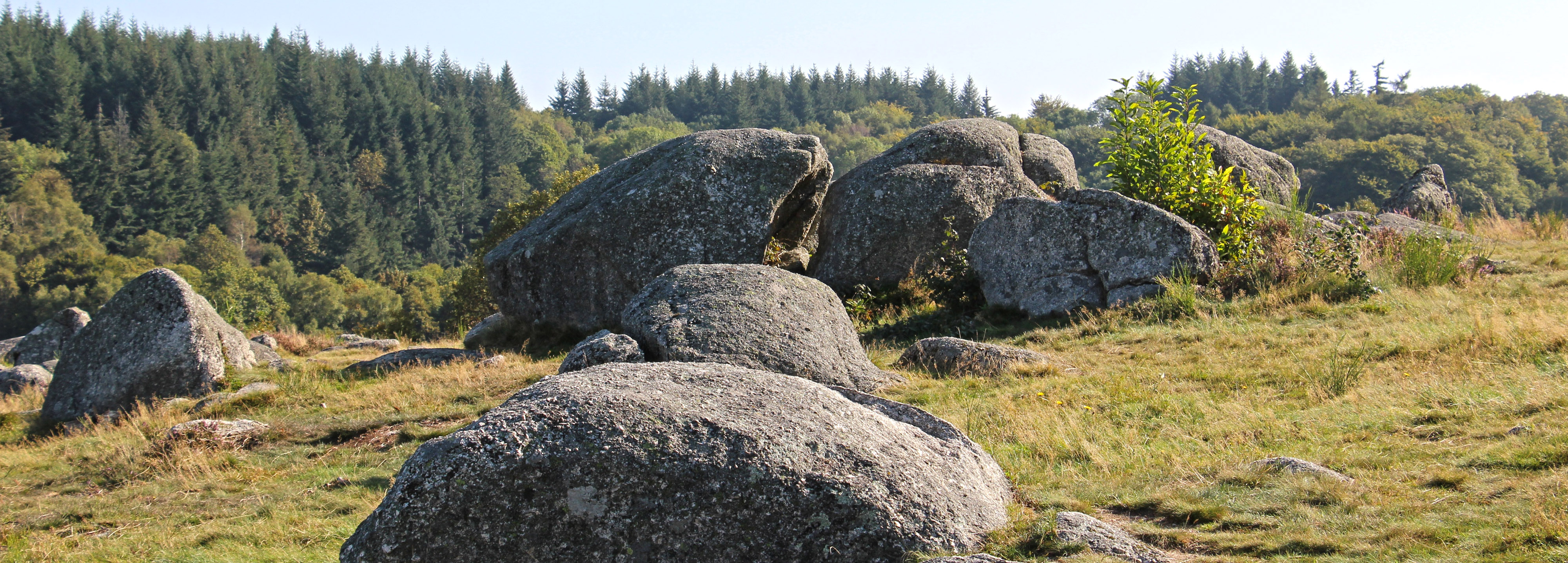 Le Massif d'Uchon présente des sommets forestiers denses où s'ouvrent de petites clairières. De nombreux blocs granitiques erratiques lui confèrent sa singularité. Uchon 