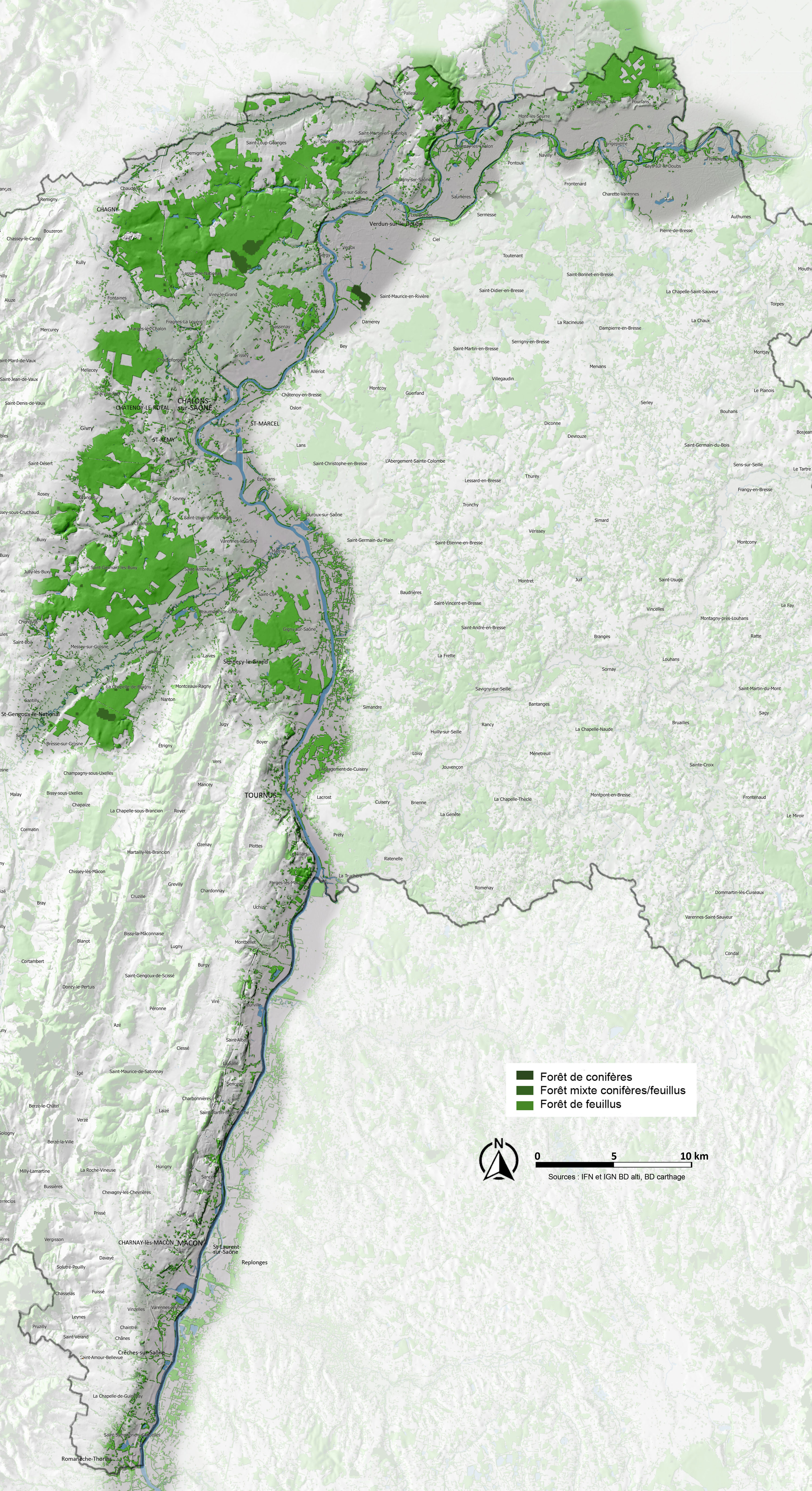 Vallée de la Saône carte arbre et forêt