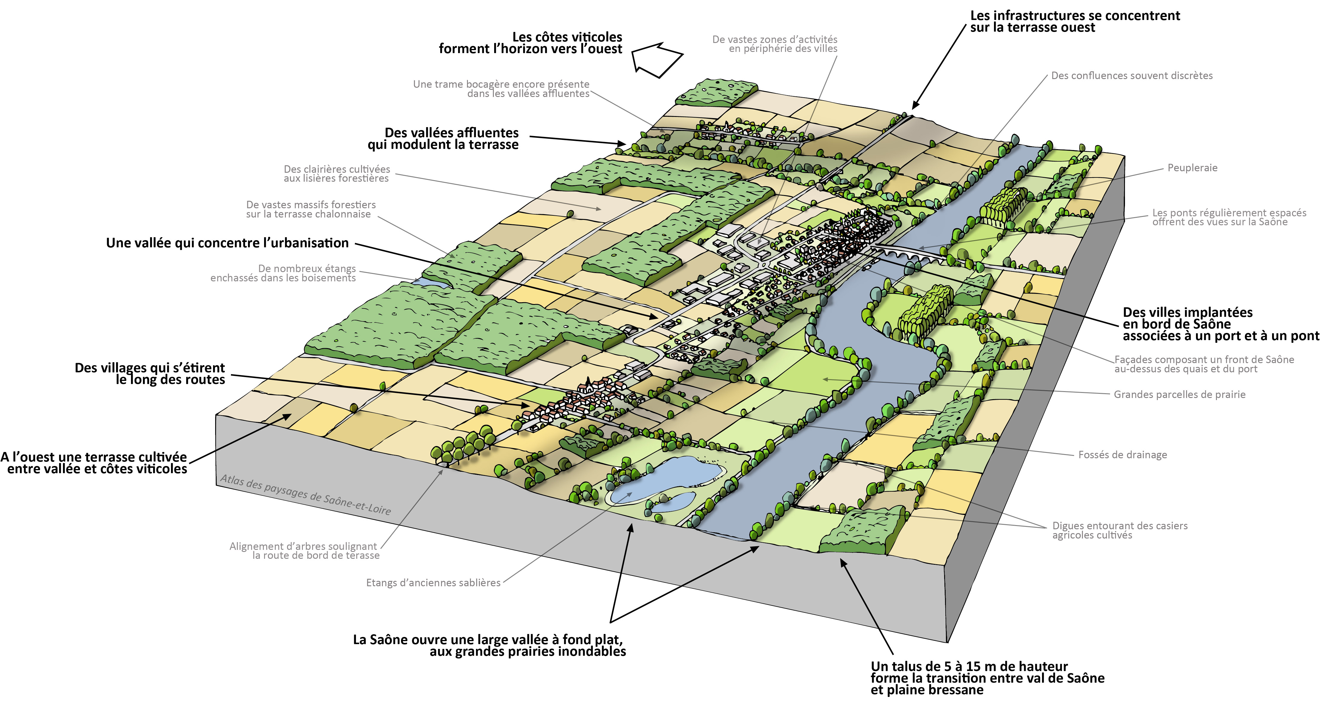 Vallée de la Saône bloc diagramme paysager