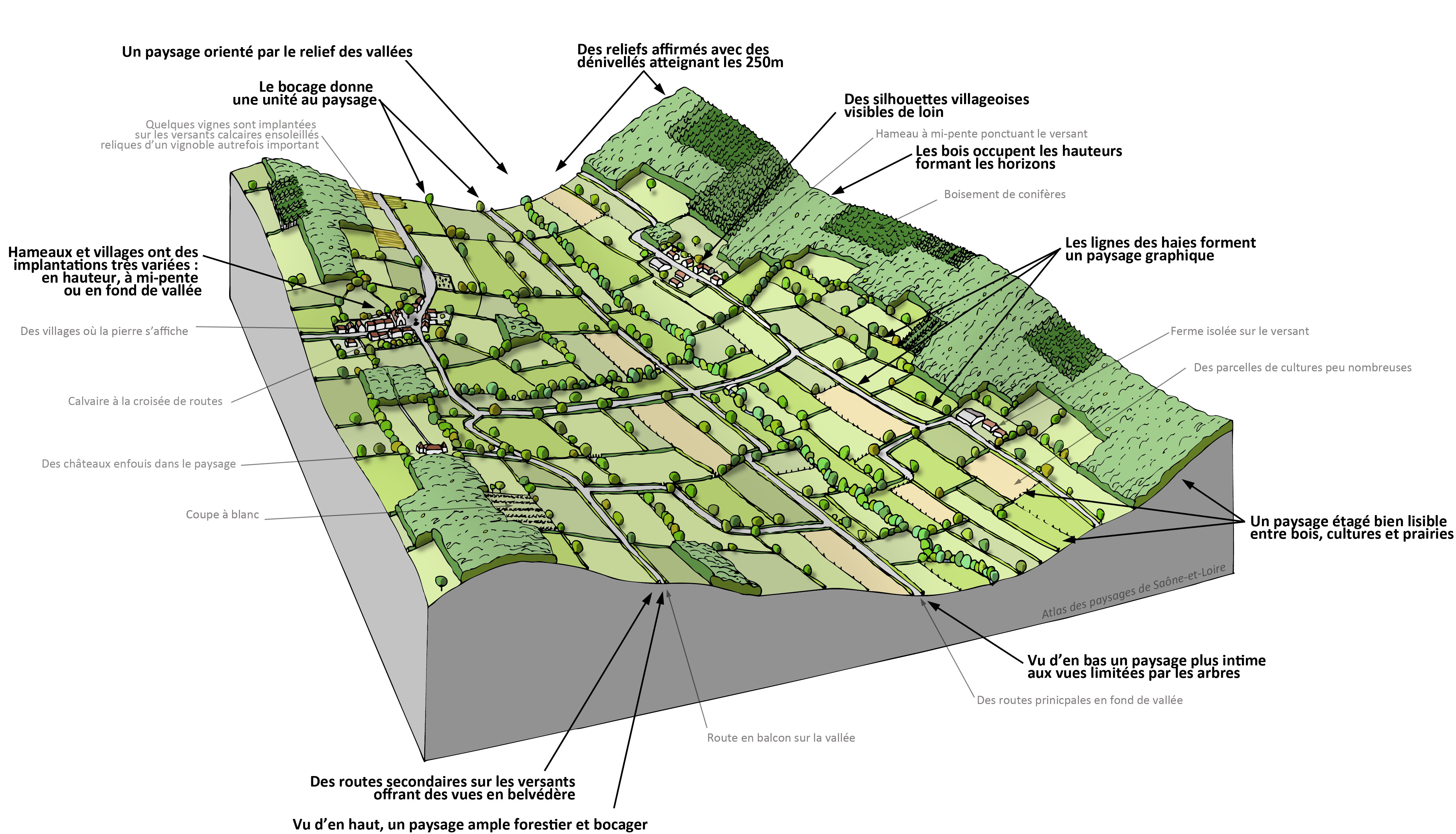 Vallées du Clunisois bloc-diagramme paysager