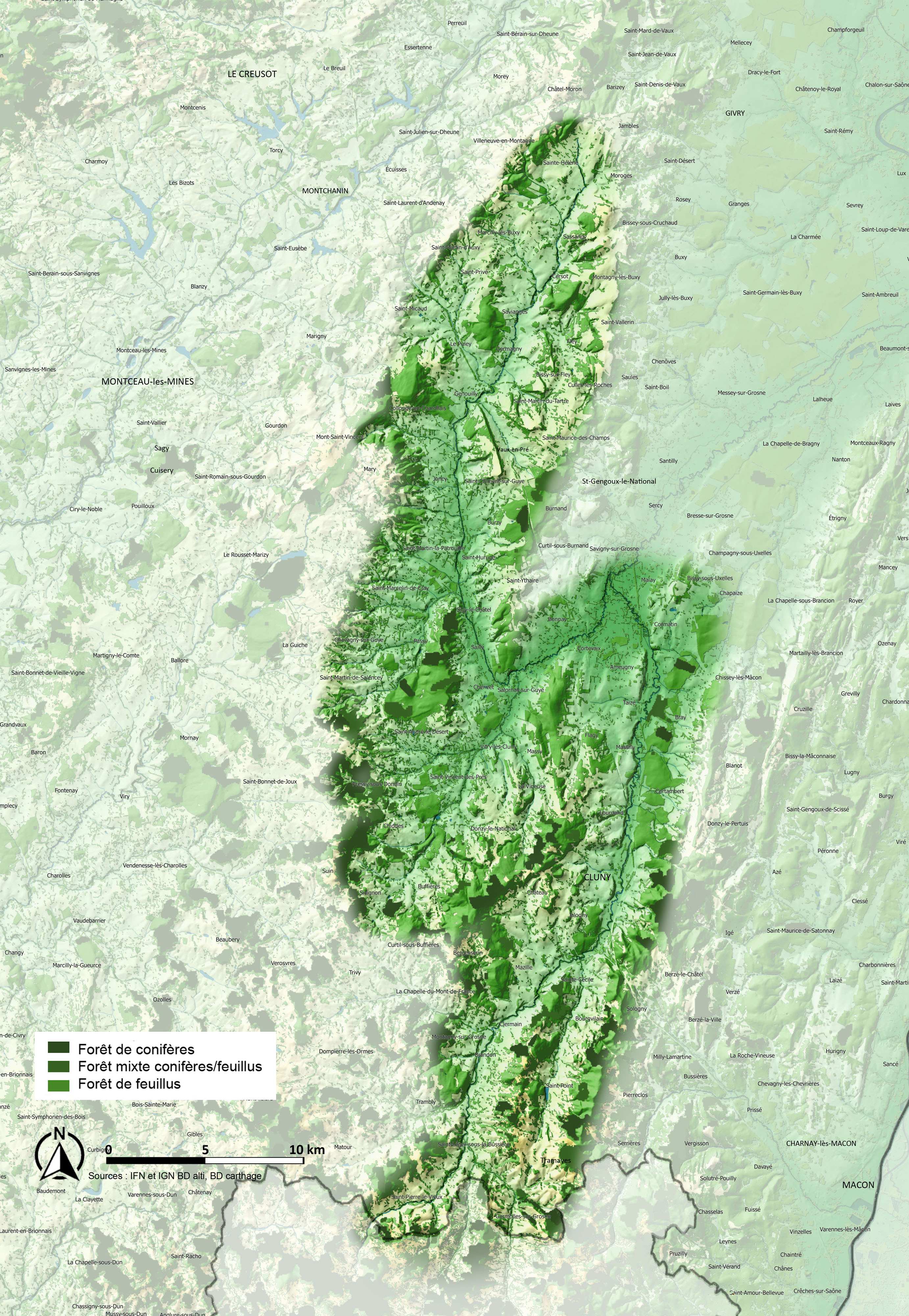 Vallées du Clunisois carte arbre et forêt