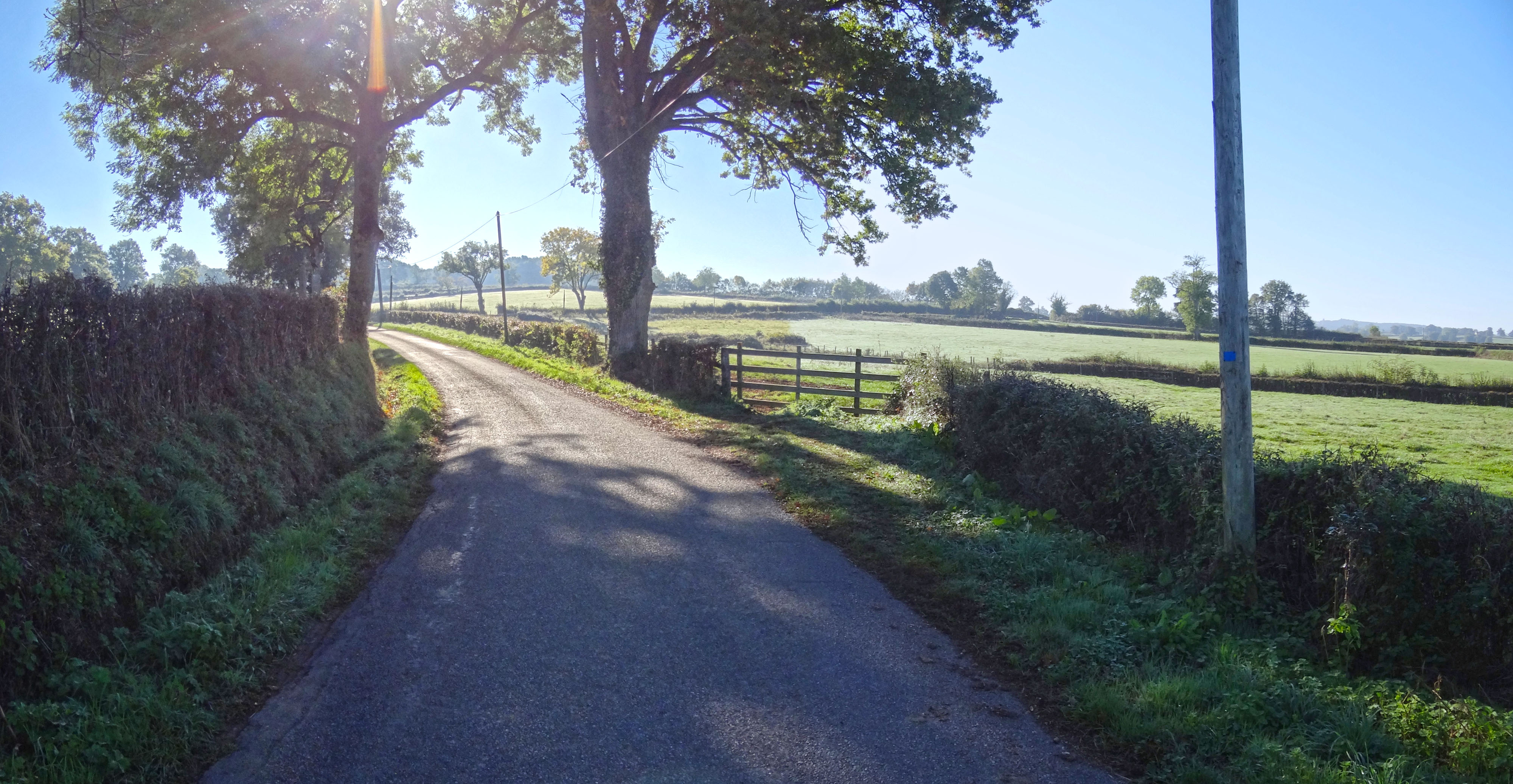 La route bocagère - Le chemin bocager