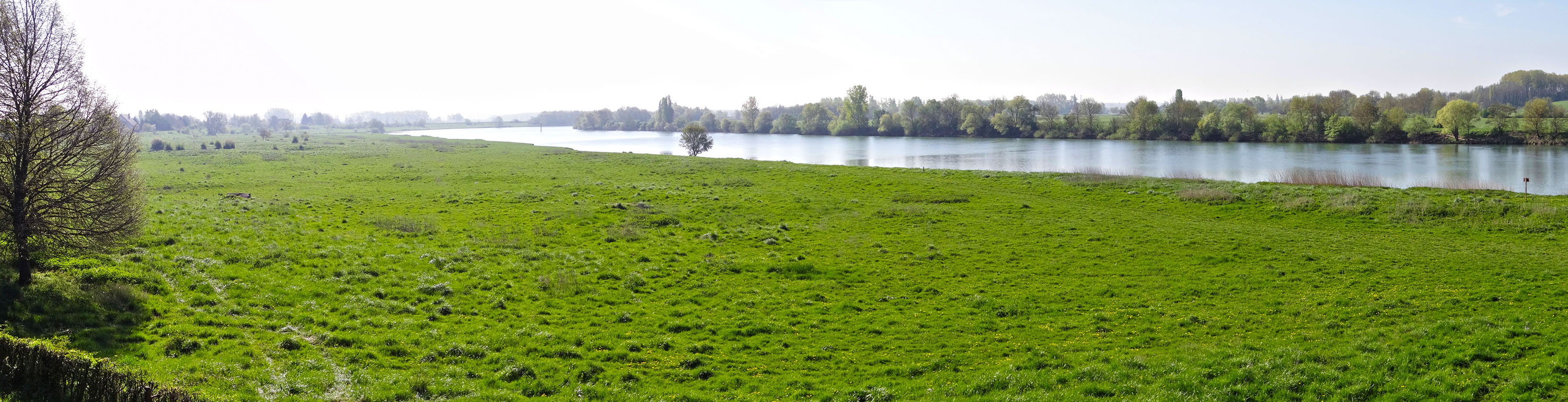 Entre Bresse et Côtes viticoles, la Saône ouvre une large vallée à fond plat, à grandes prairies inondables, enserrées entre des digues et bordées de terrasses hautes, cultivées ou boisées, où se sont implantés les villes. Verjux