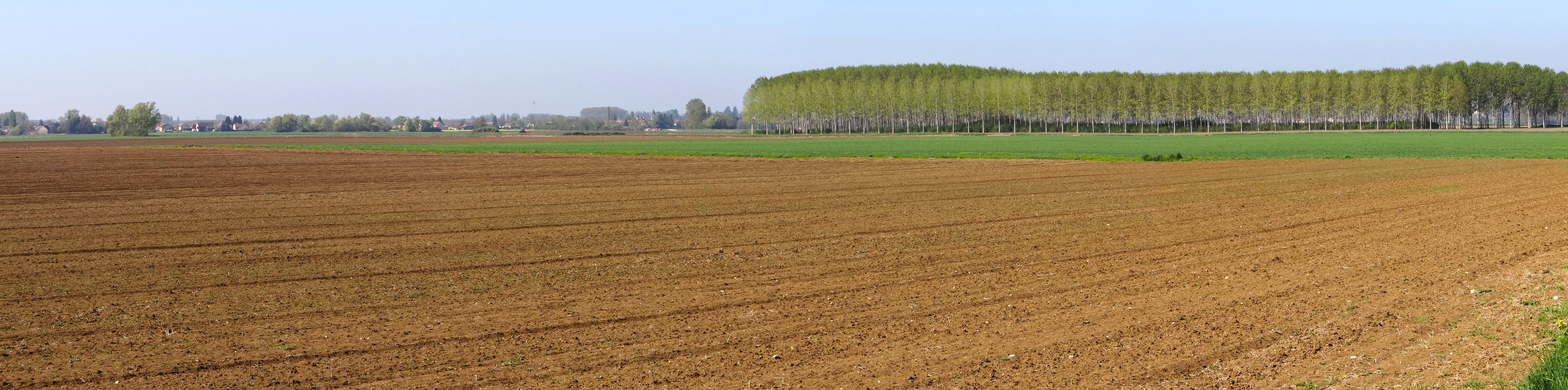 La Saône s’élargit dans un lit ordonné par les cultures, les peupleraies, les digues et les fossés. Verjux