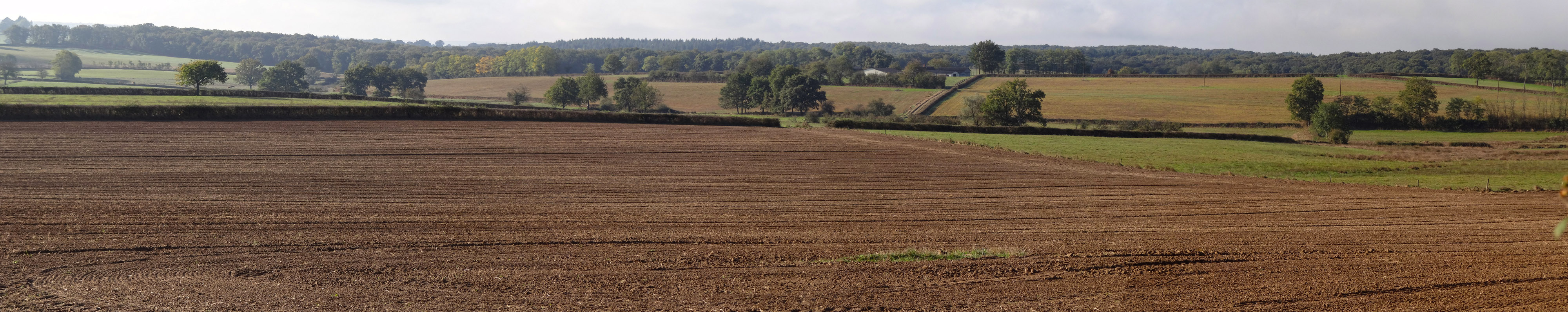 La Sologne Bourbonnaise présente un relief adouci formant de grands plans inclinés. C’est un paysage de clairières aux champs et aux prairies bocagères bordées de lisières forestières qui forment les horizons. Vitry-sur-Loire