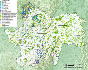 Carte des types de peuplements forestiers. source IFN  en grand format (nouvelle fenêtre)
