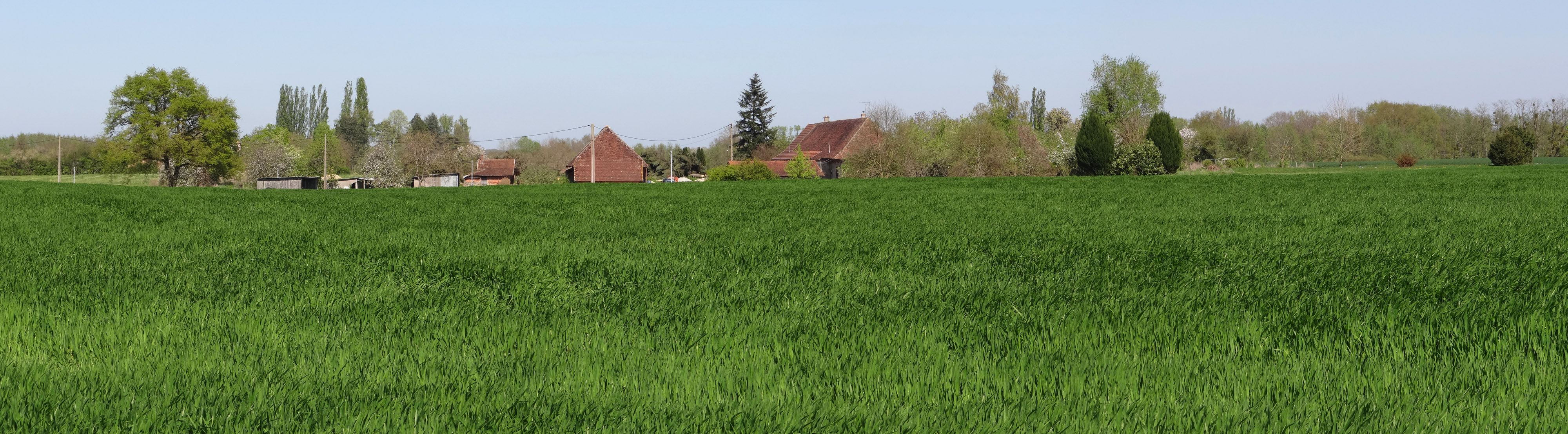 La Bresse est semée d'un habitat dispersé dense et de nombreux villages aux vastes espaces internes. Ménetreuil en grand format (nouvelle fenêtre)