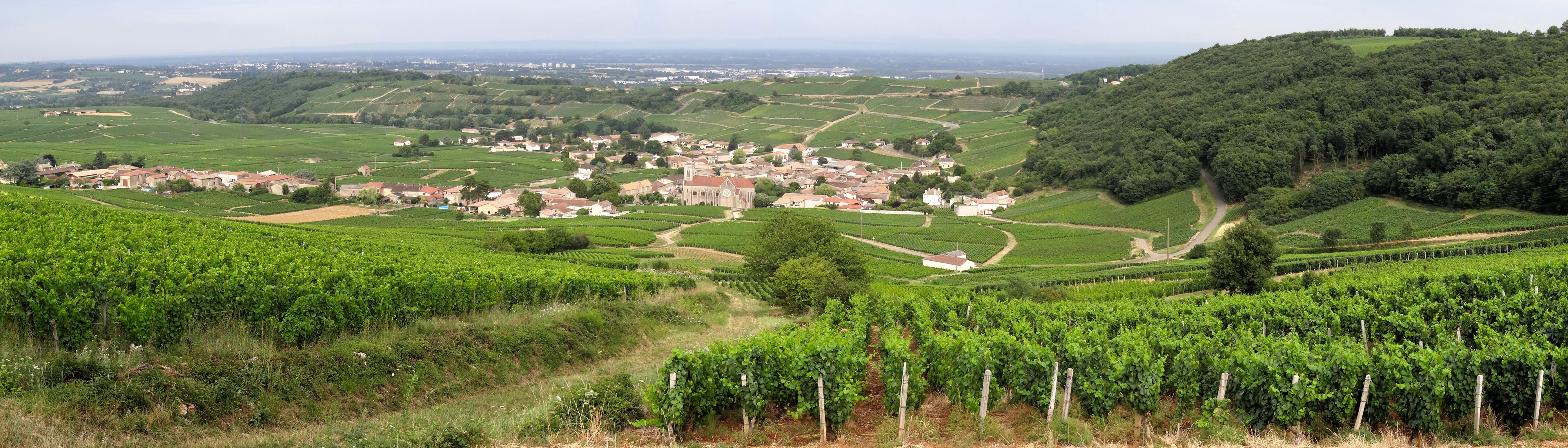 Les pentes du Sud-Mâconnais ouvrent des perspectives sur les villages et la vallée de la Saône. Fuissé  en grand format (nouvelle fenêtre)
