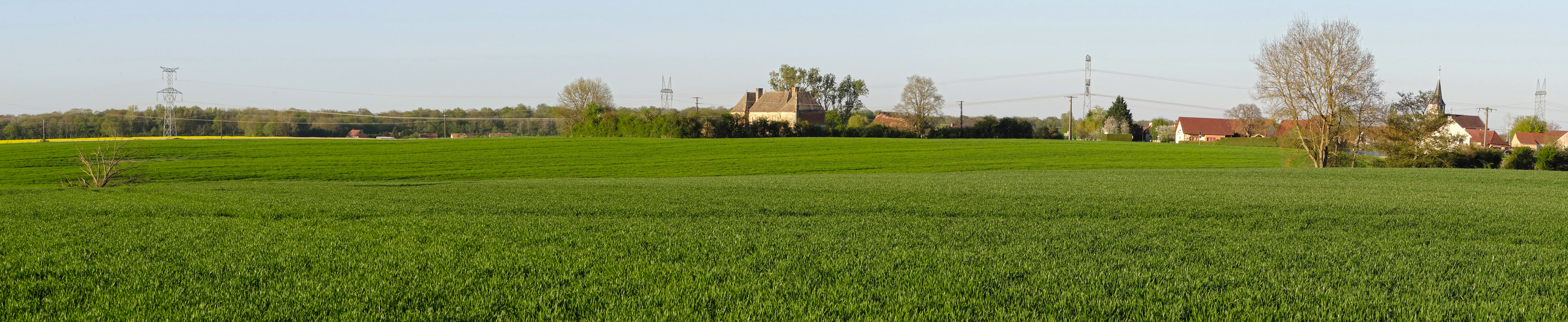 La Bresse Chalonnaise présente de vastes clairières cultivées, cernées de lisières forestières. Serigny-en-Bresse en grand format (nouvelle fenêtre)